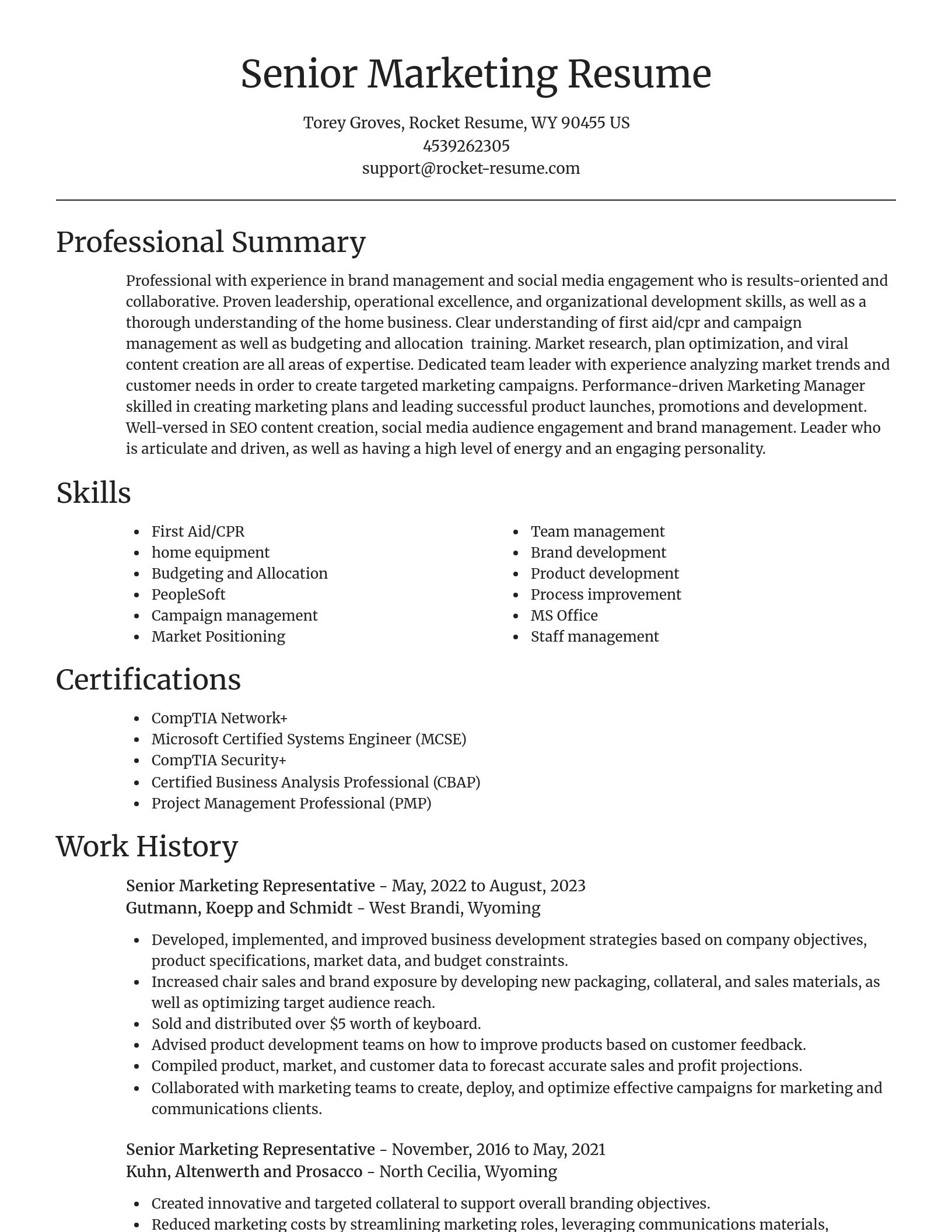 Focal Point resume template