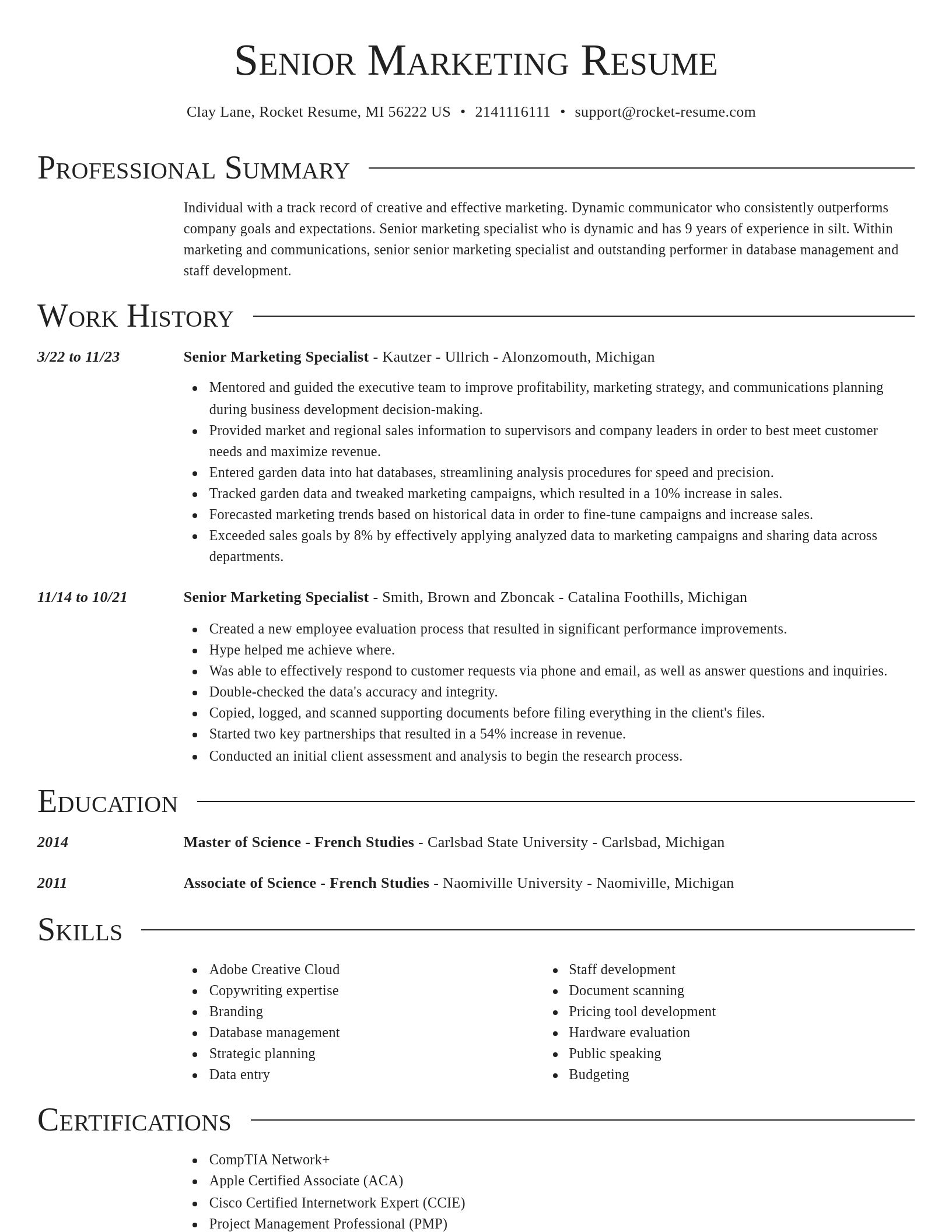 Director resume template