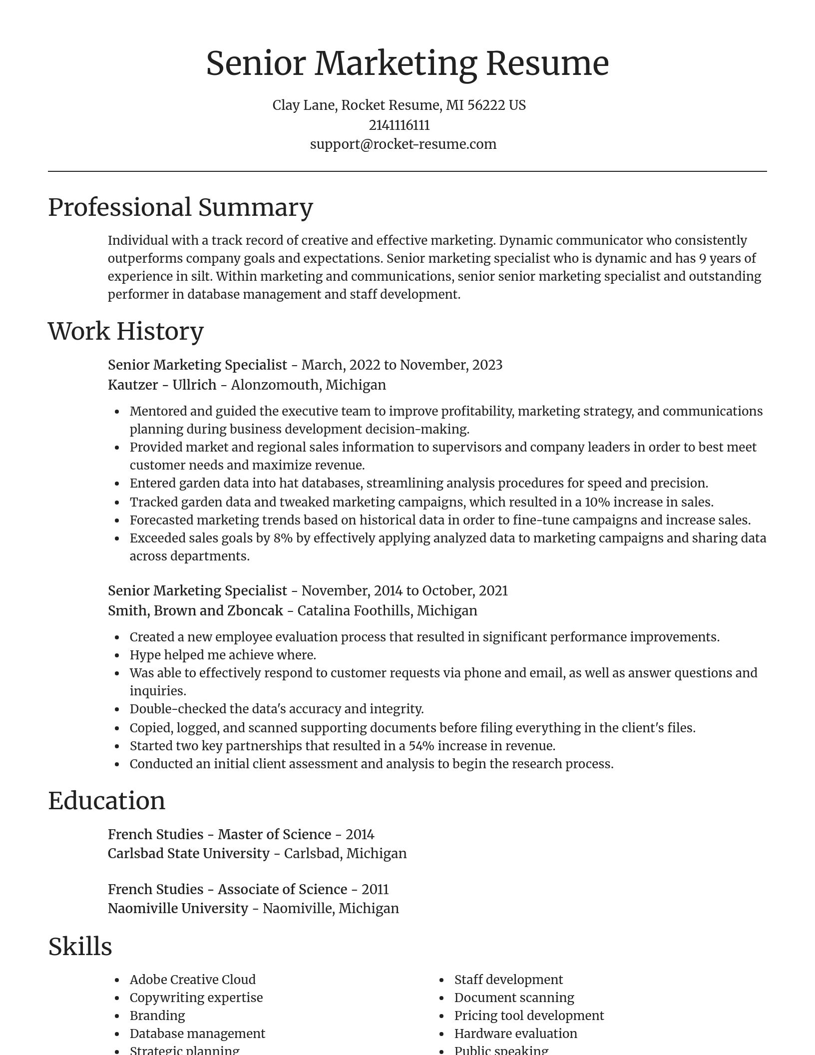 Focal Point resume template
