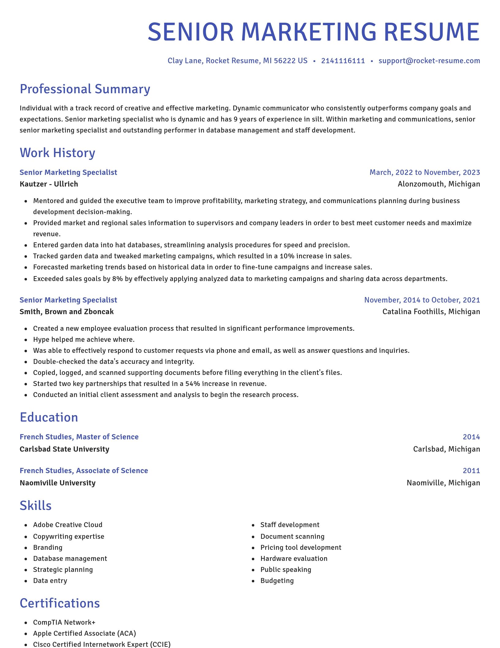 Novel resume template