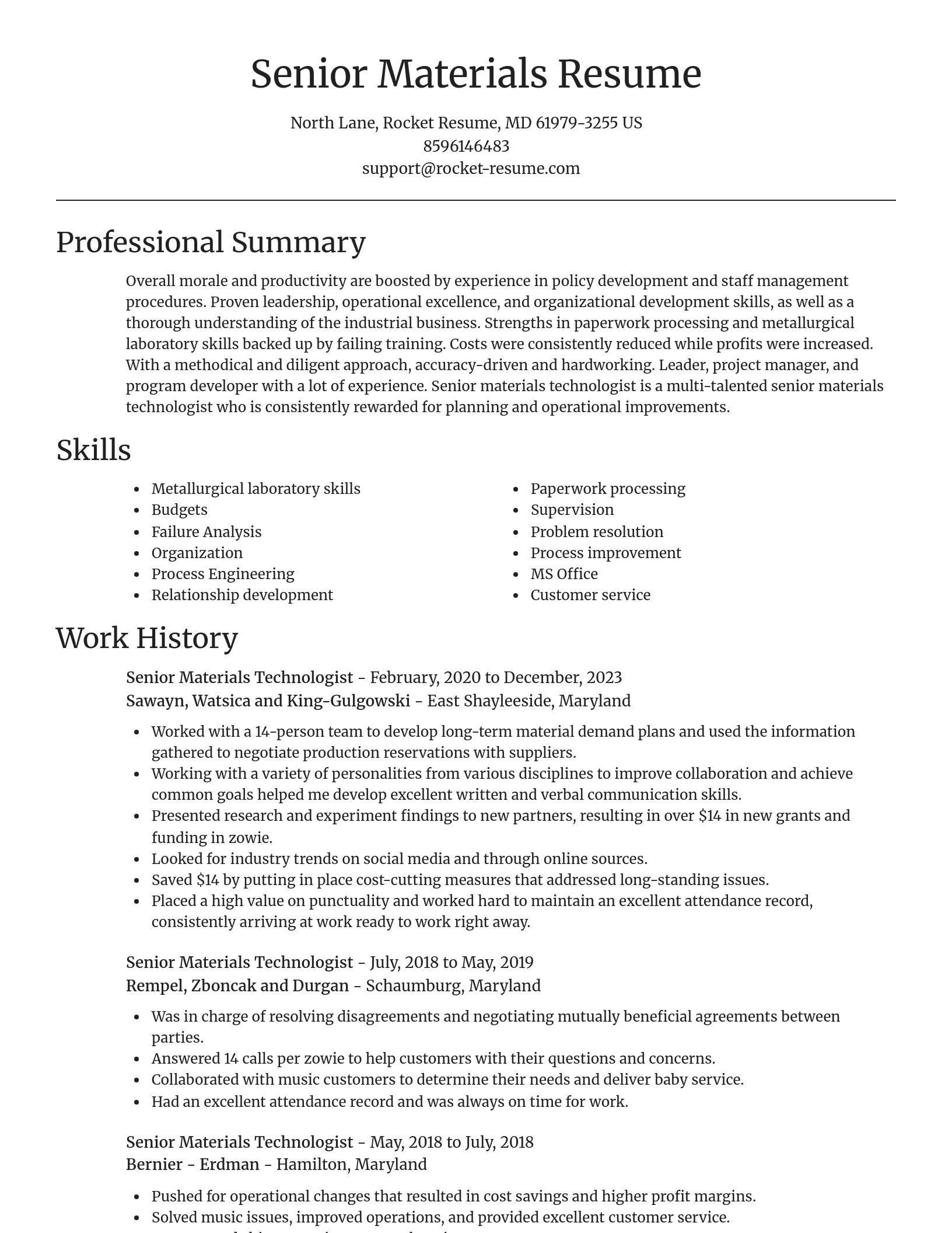 Focal Point resume template