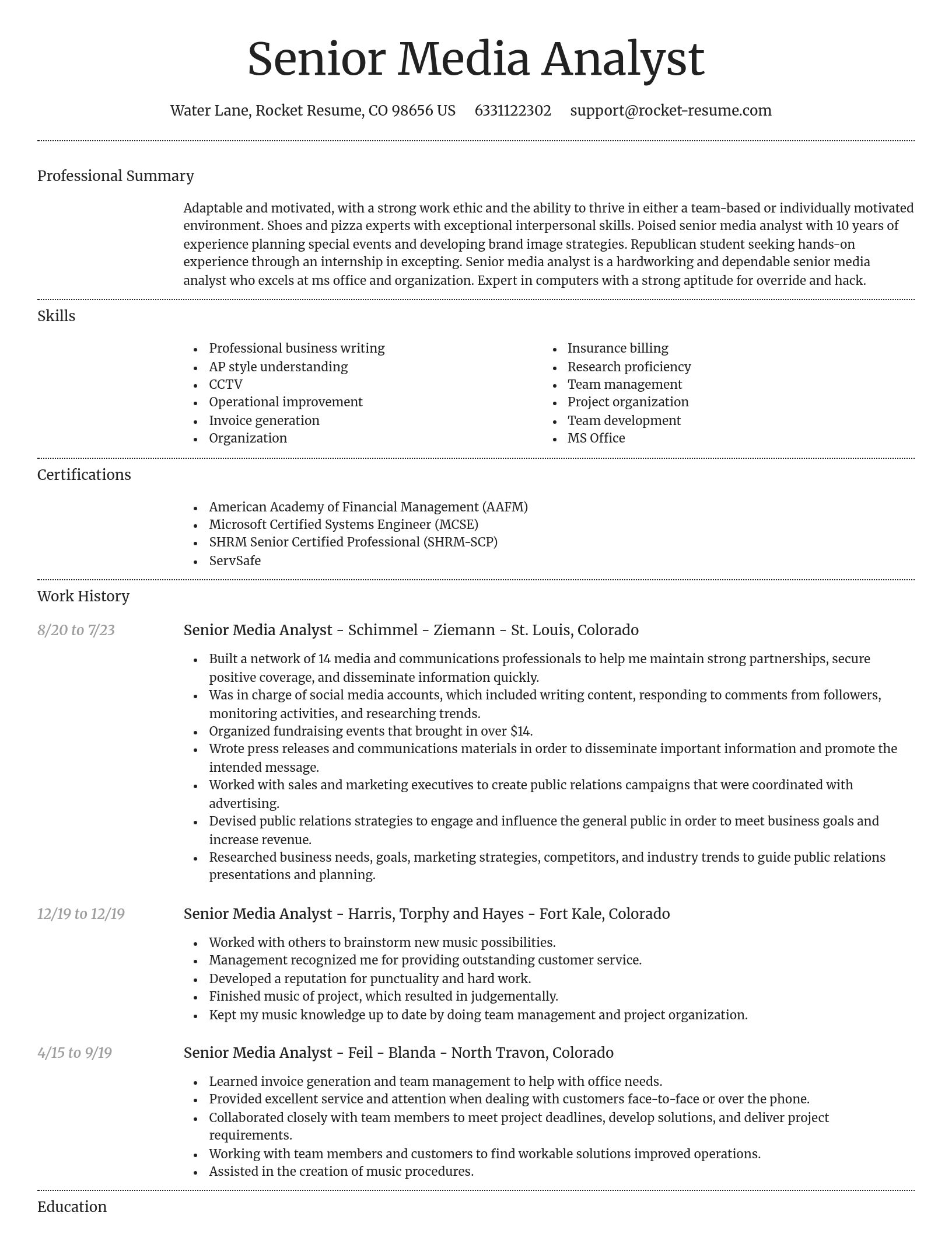Dignified resume template