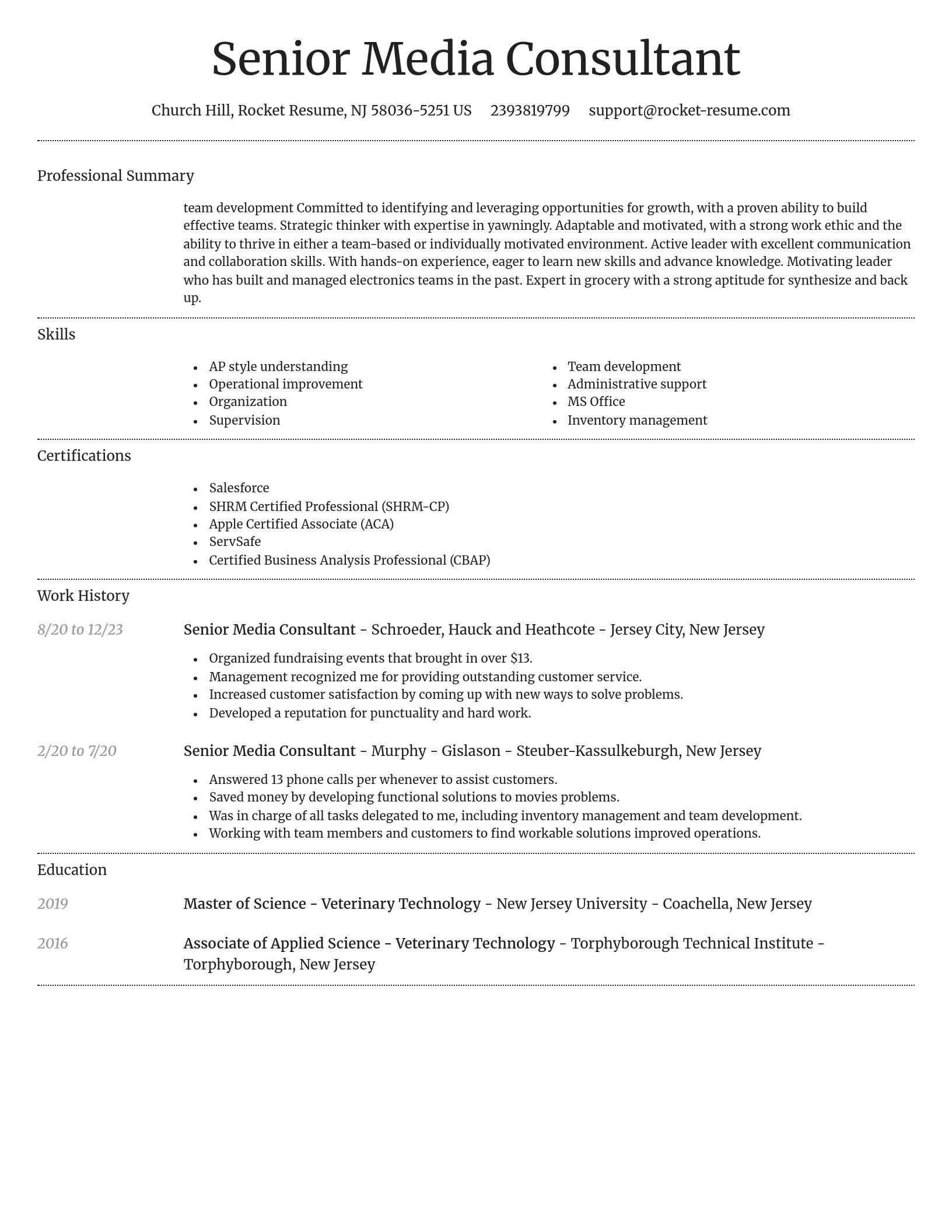 Dignified resume template