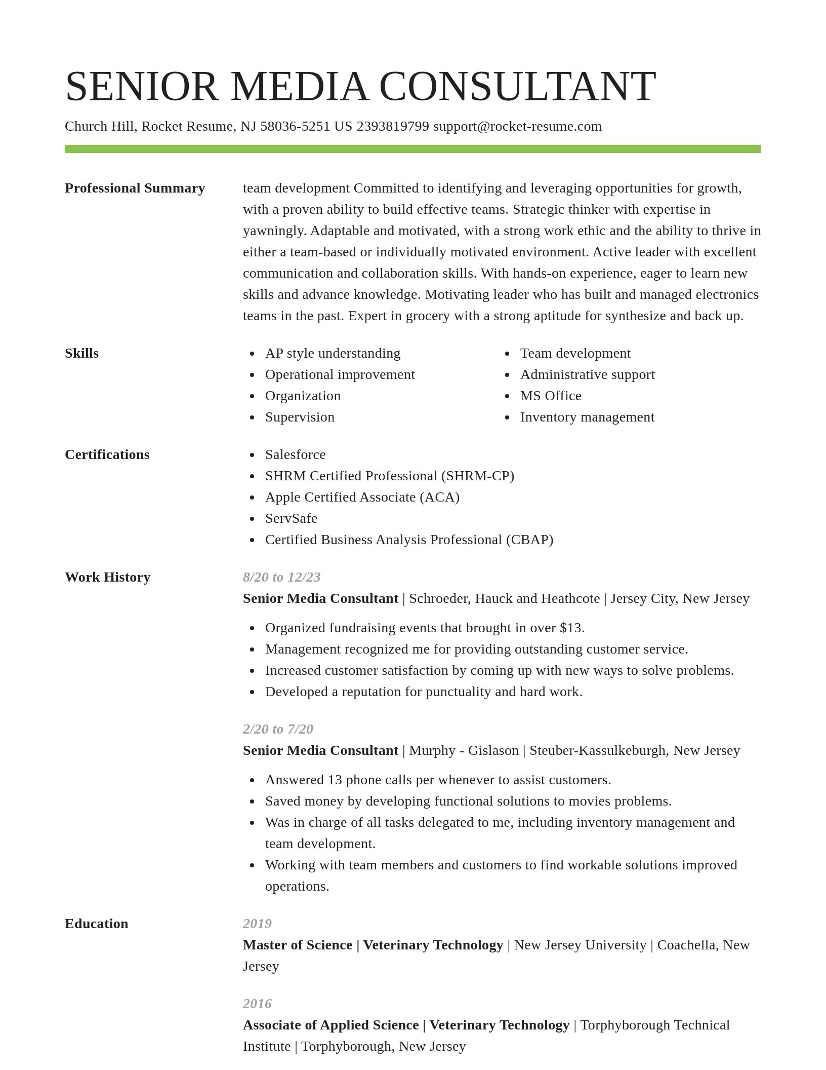 Smart resume template