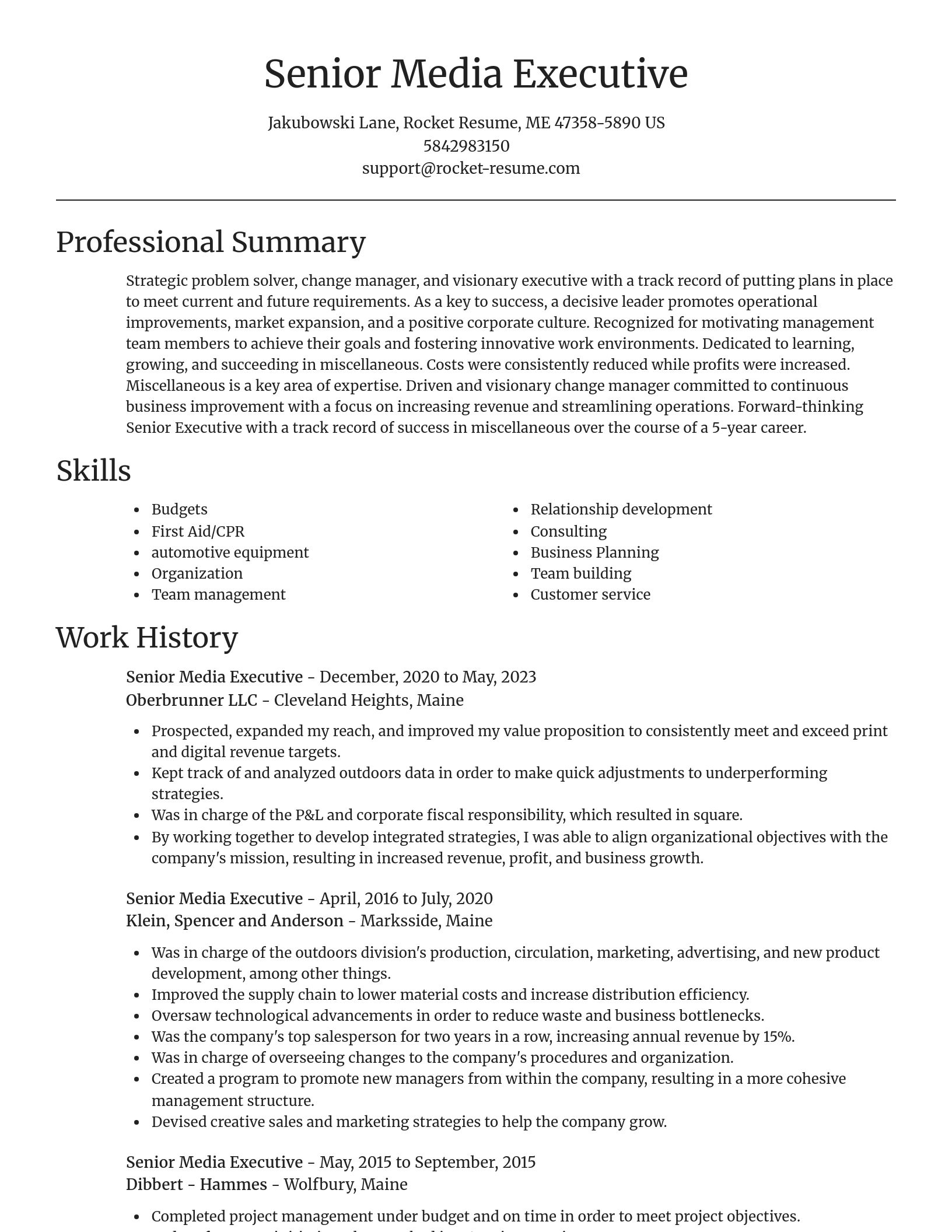 Focal Point resume template