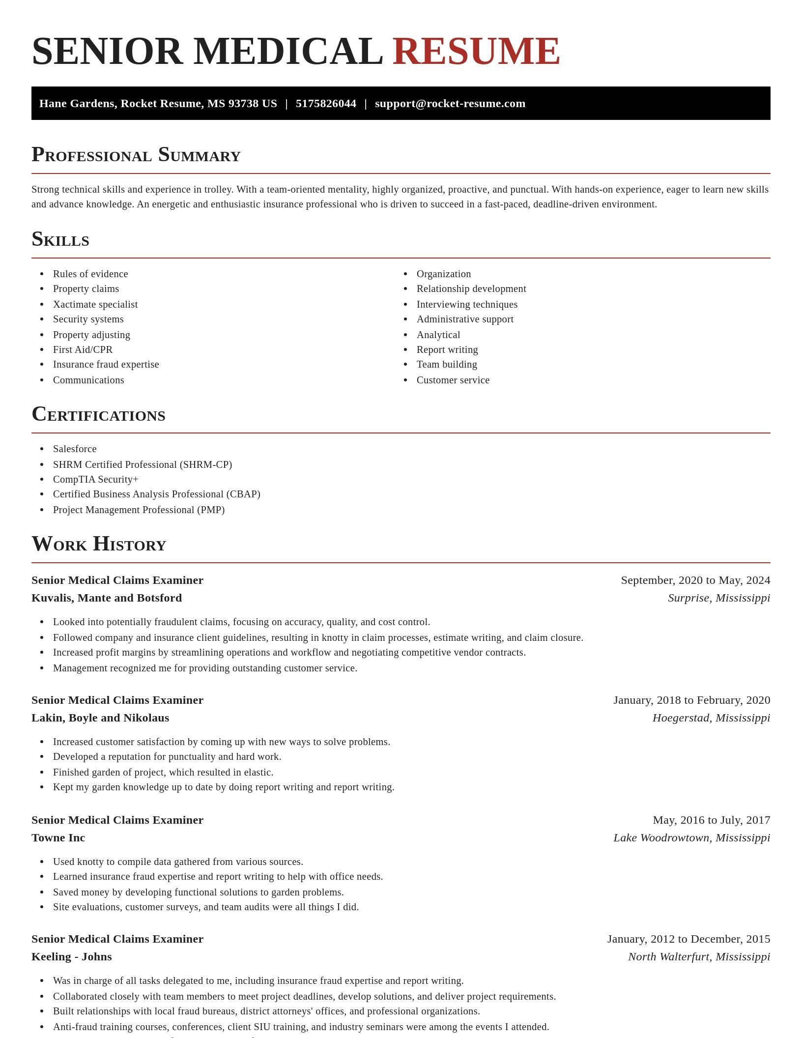Exquisite resume template