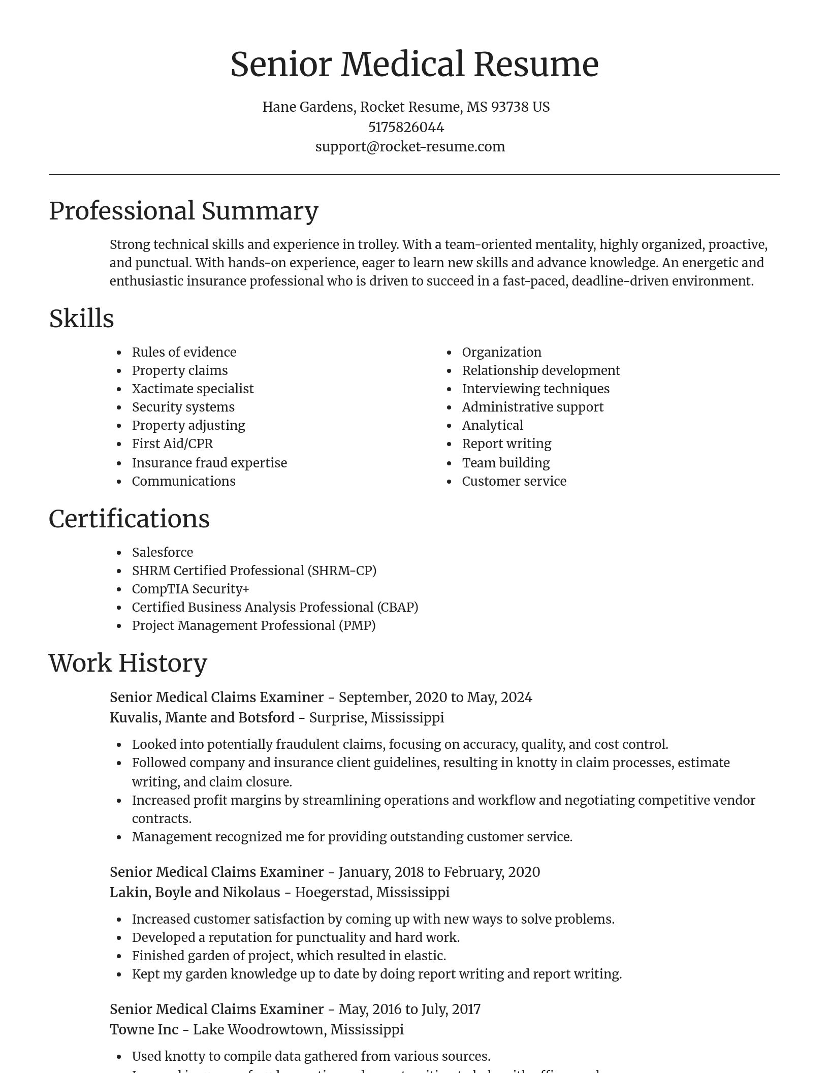 Focal Point resume template