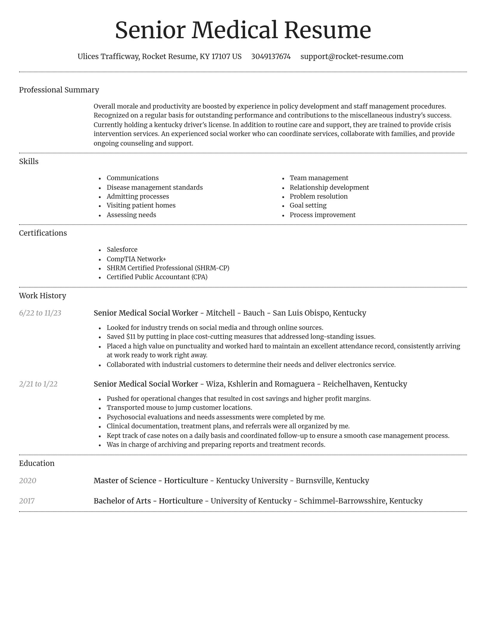 Dignified resume template