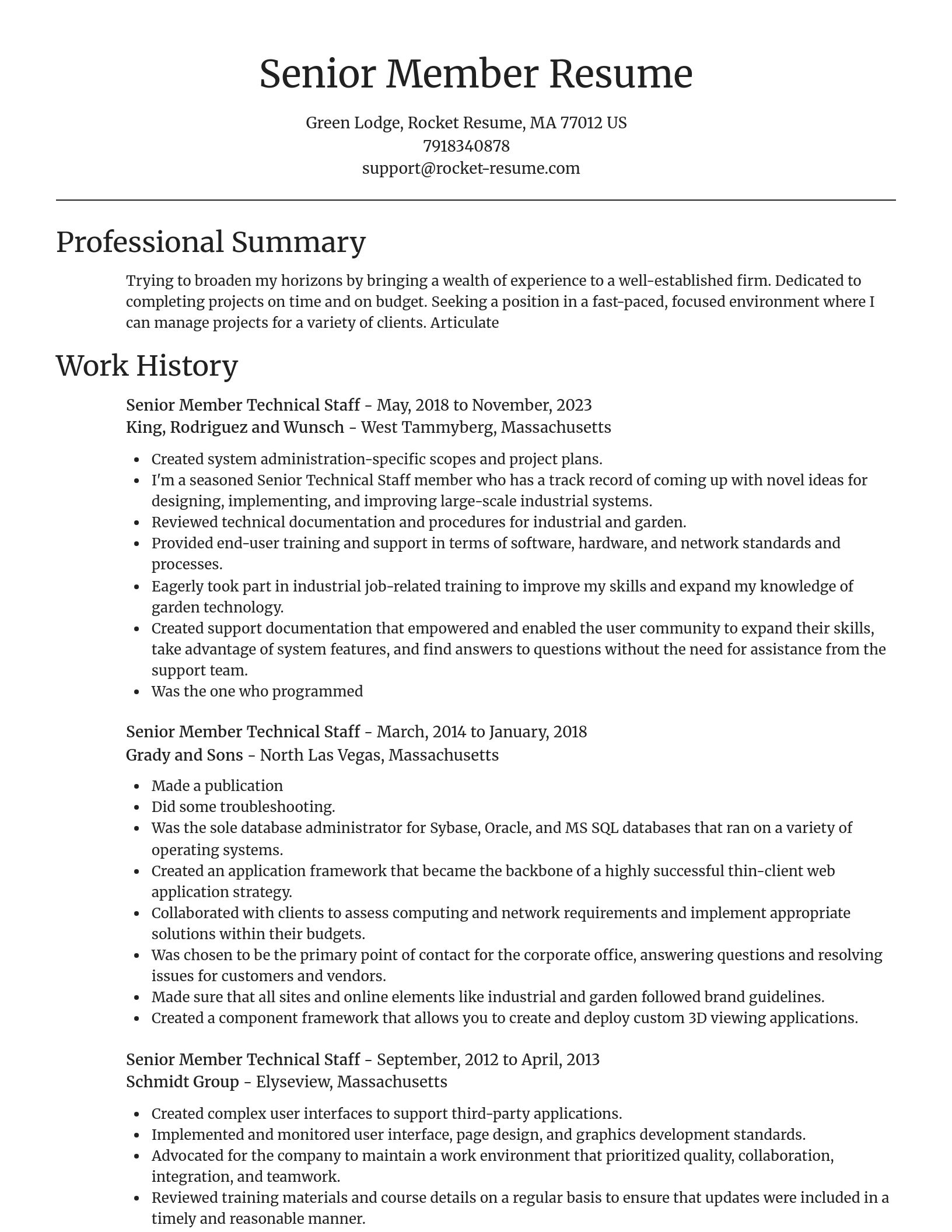 Focal Point resume template