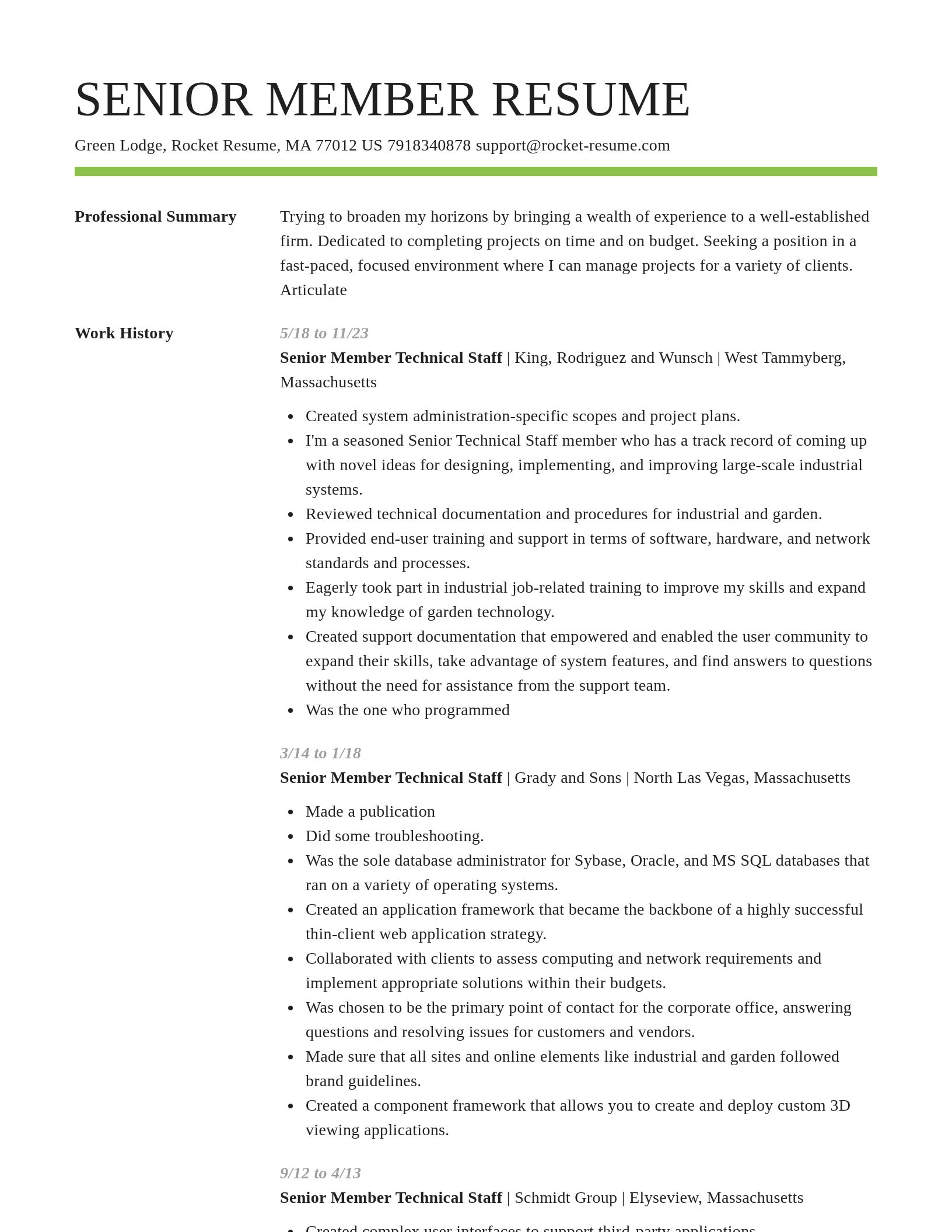Smart resume template