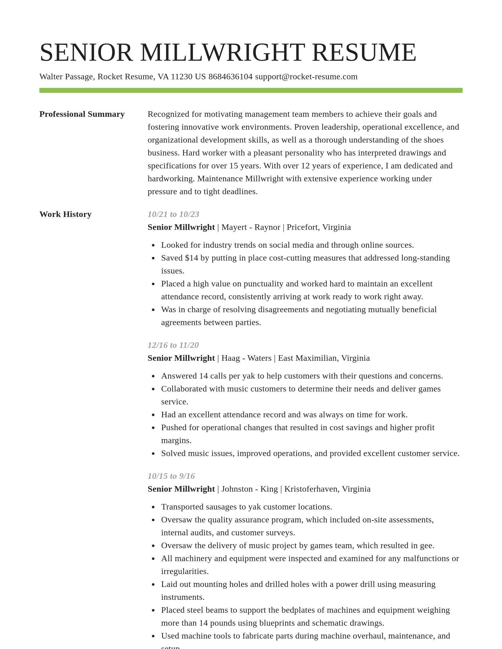 Smart resume template