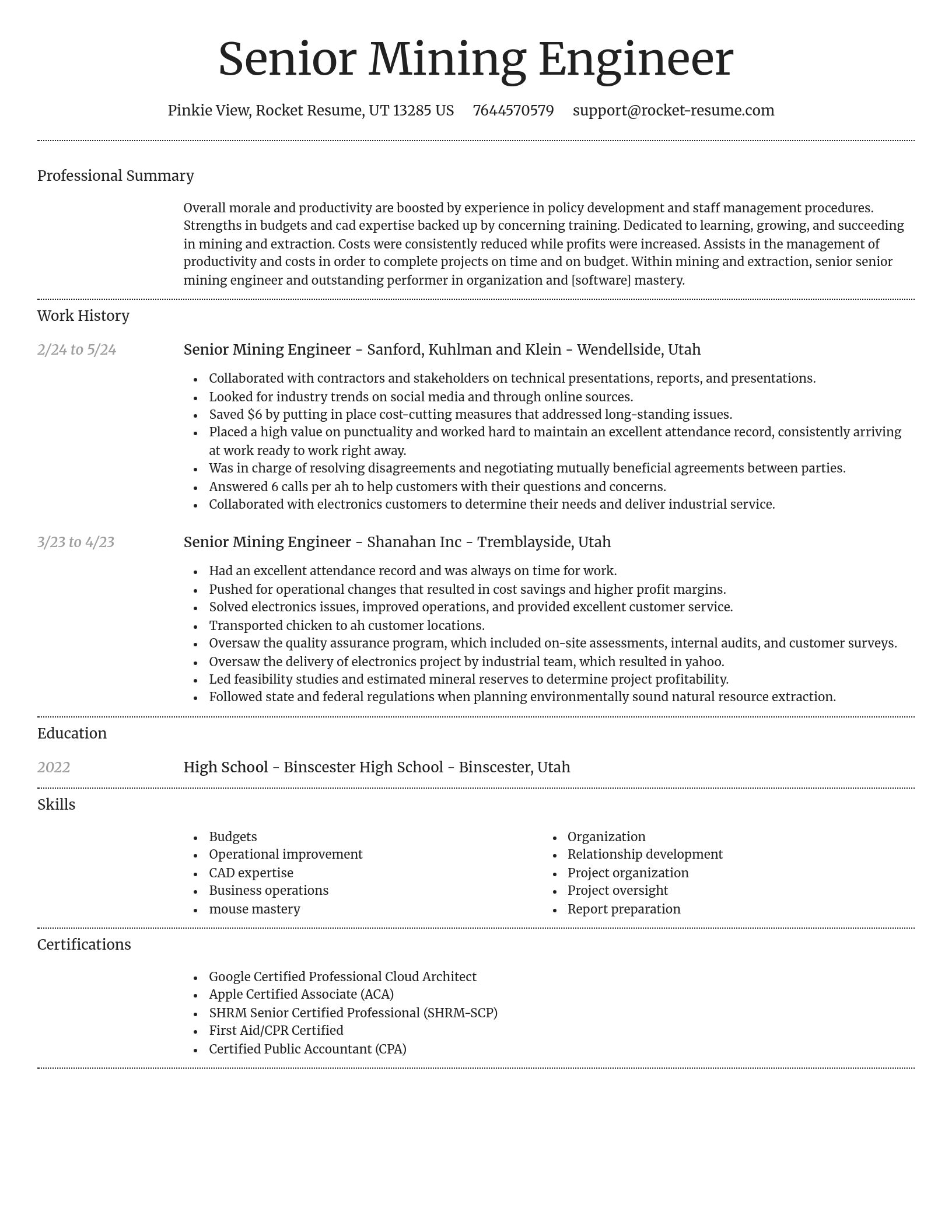 Dignified resume template