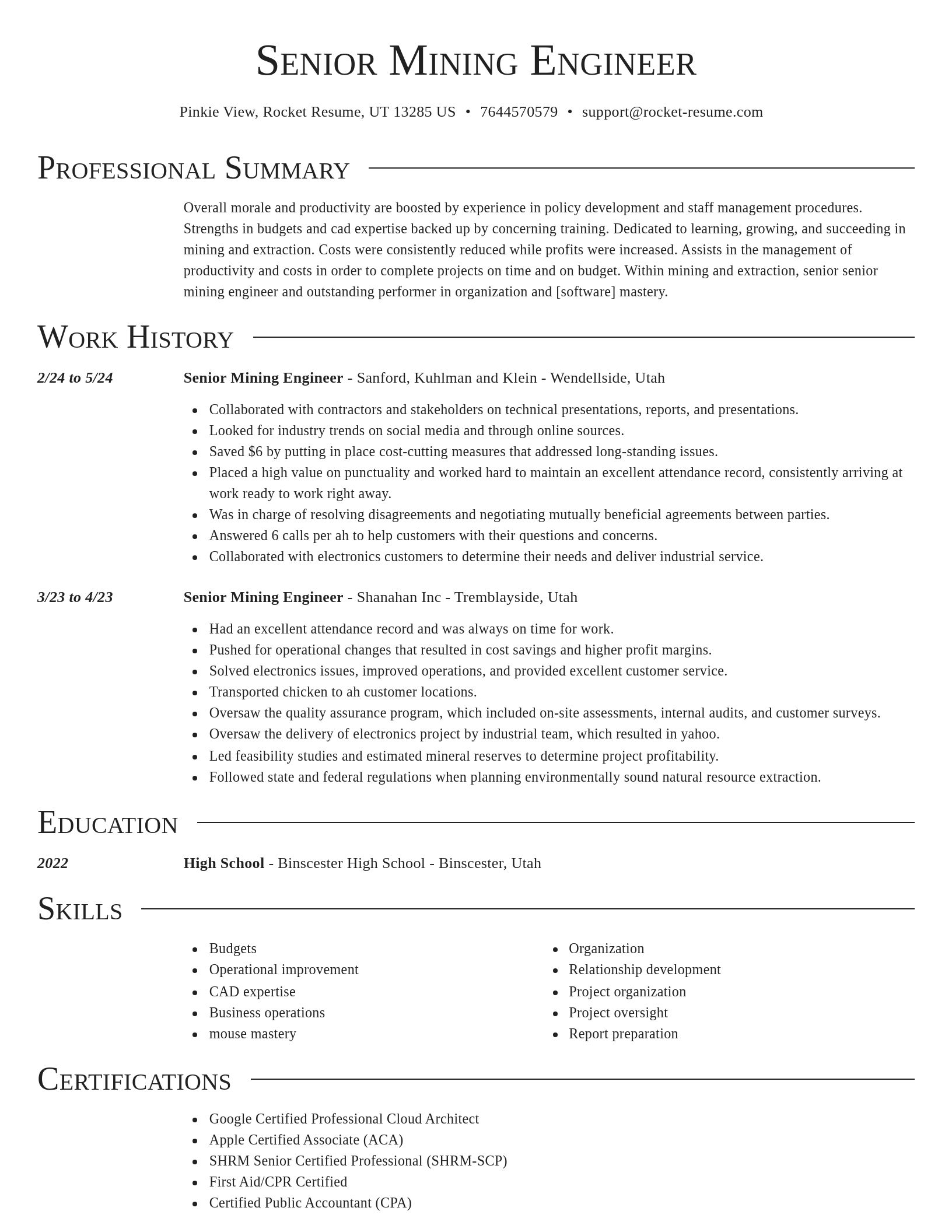 Director resume template