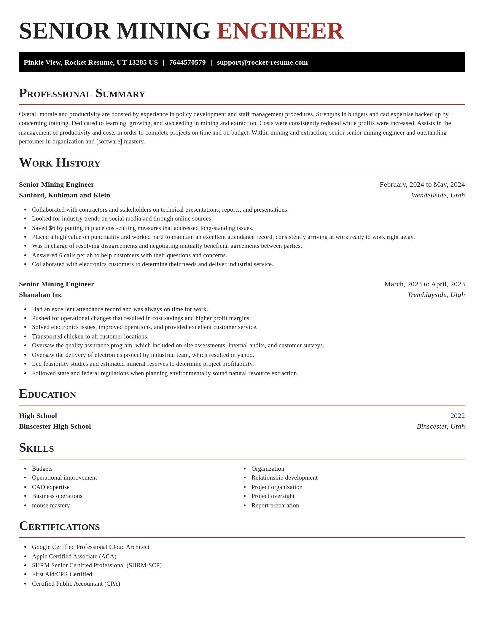 Exquisite resume template