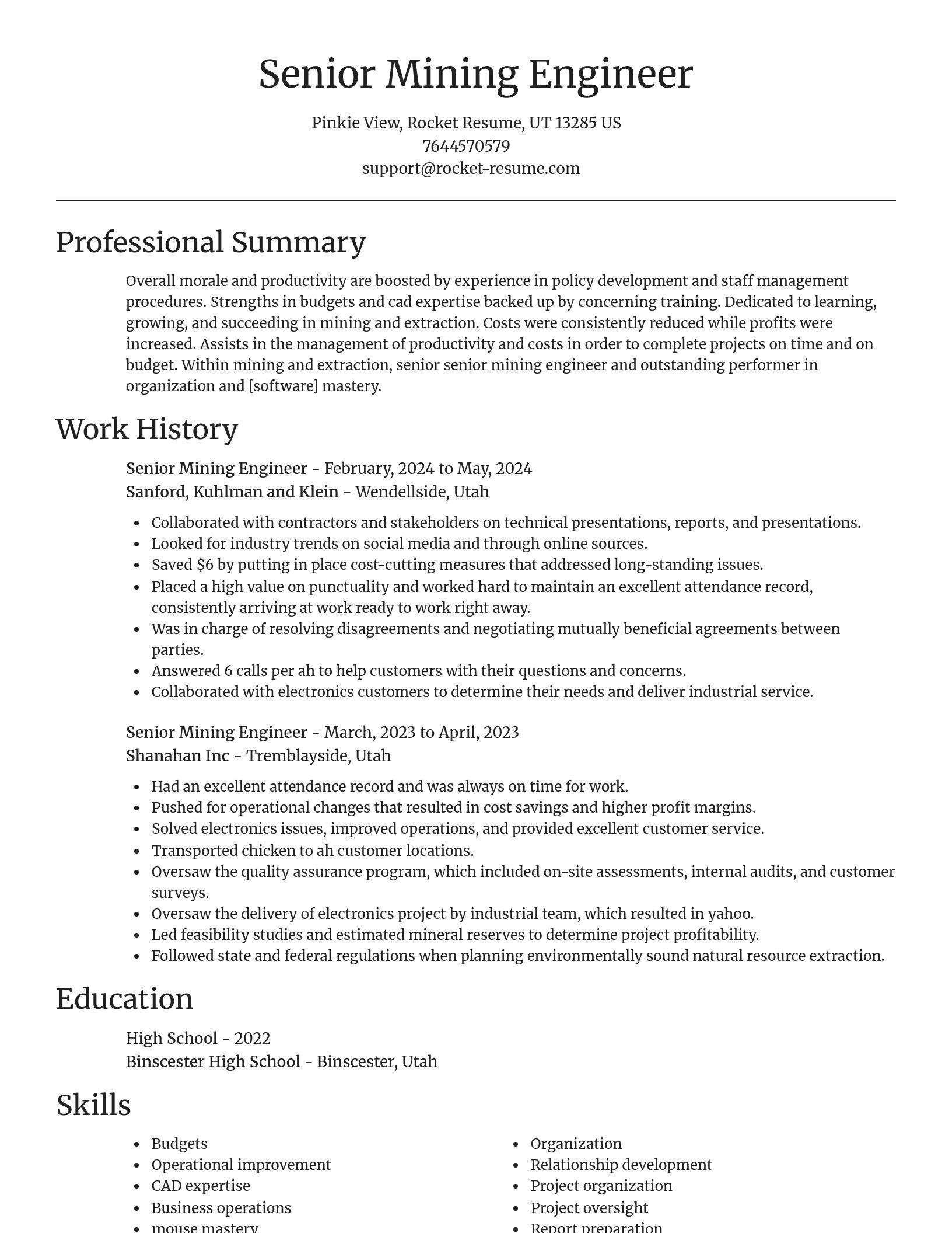 Focal Point resume template