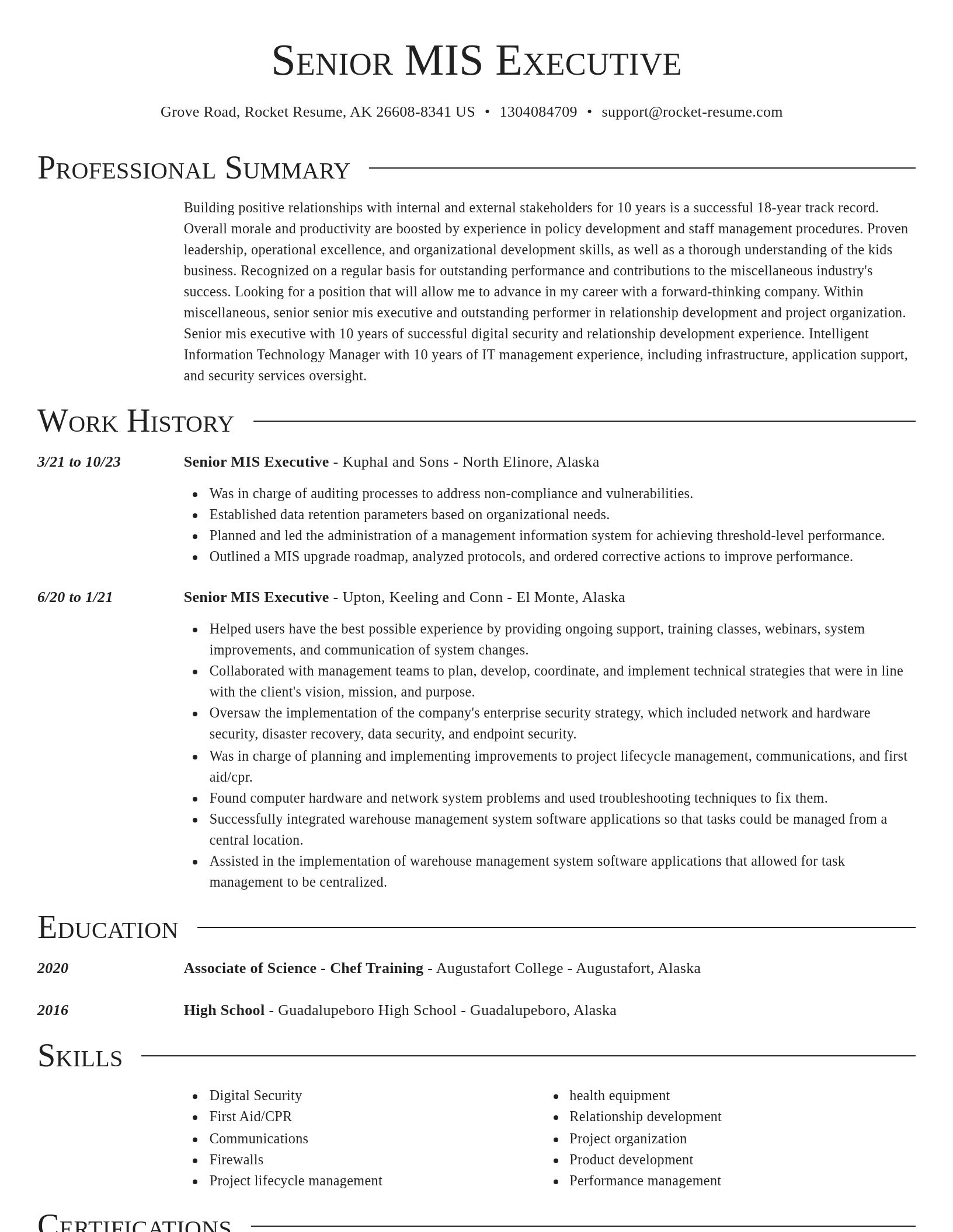 Director resume template