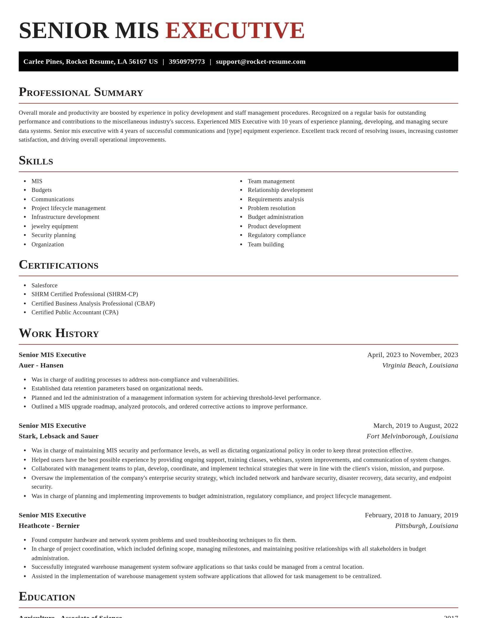 Exquisite resume template