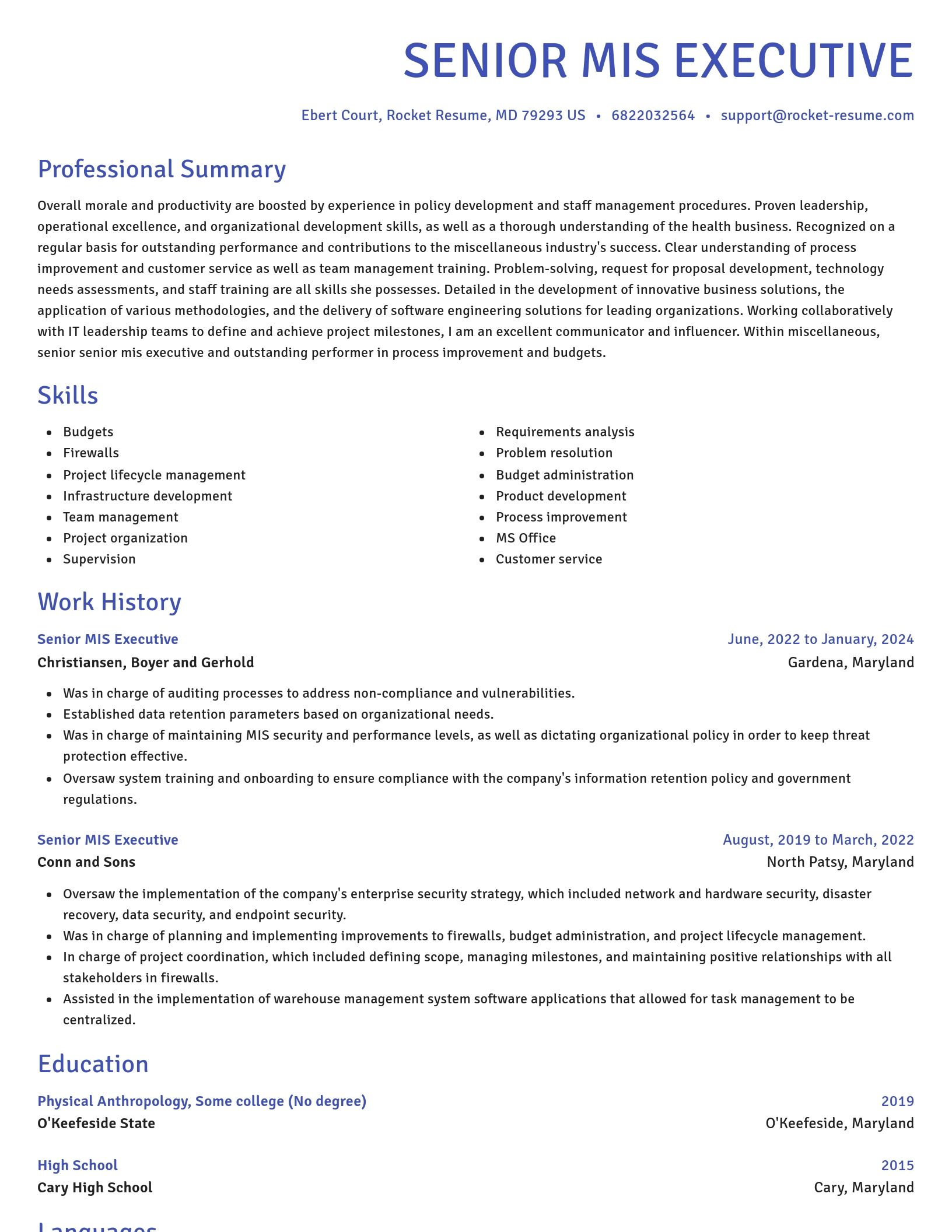 Novel resume template