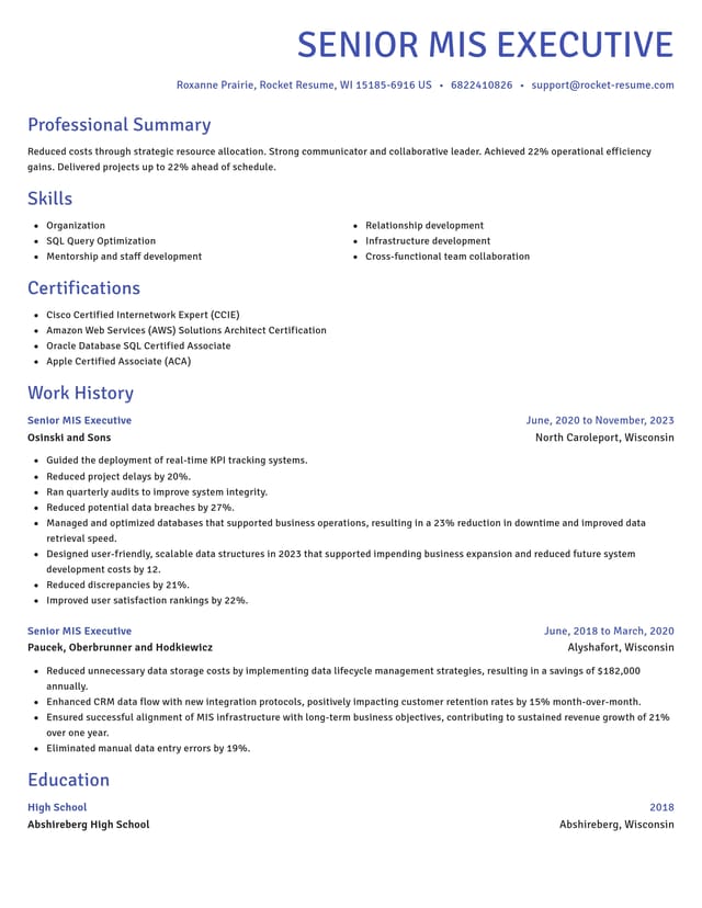 Novel resume template
