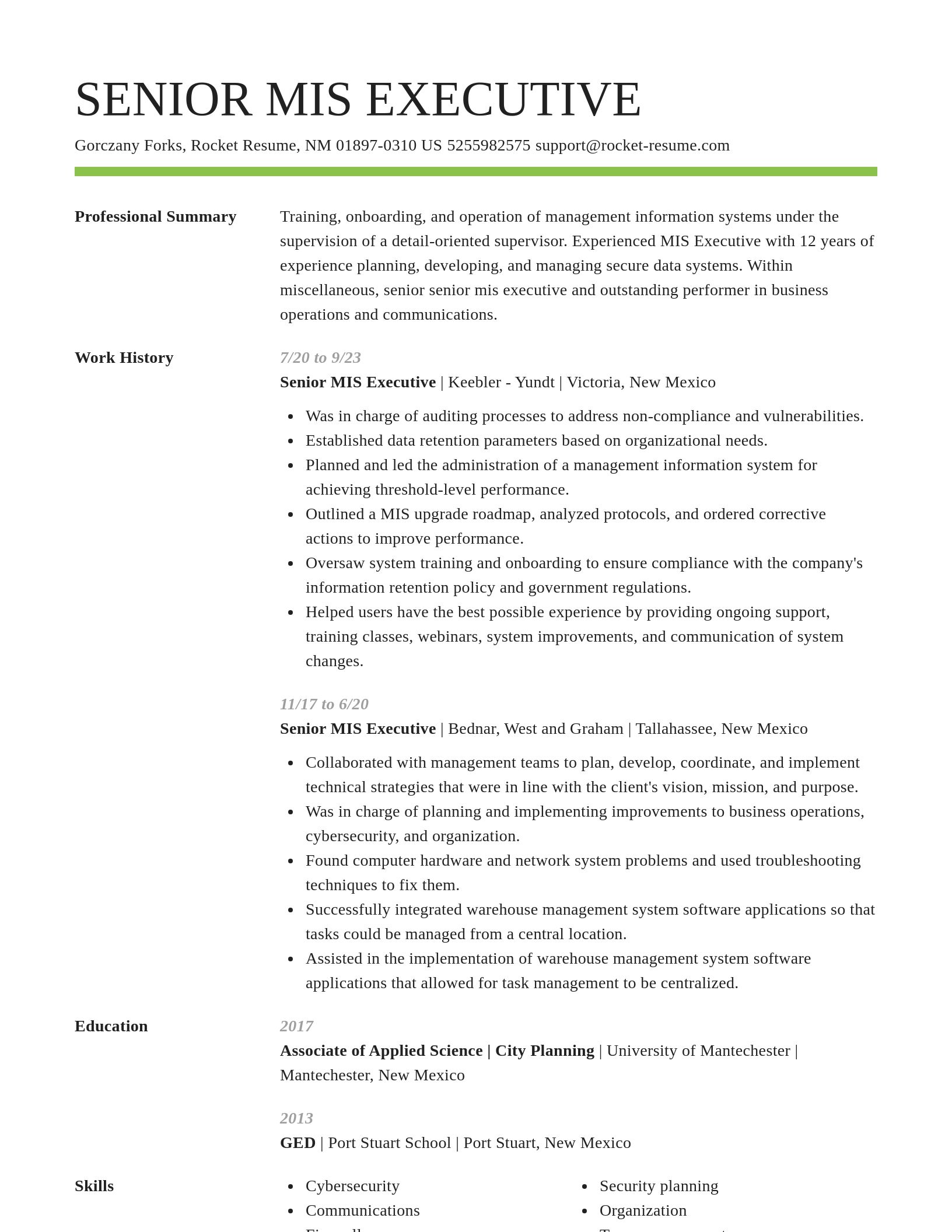 Smart resume template