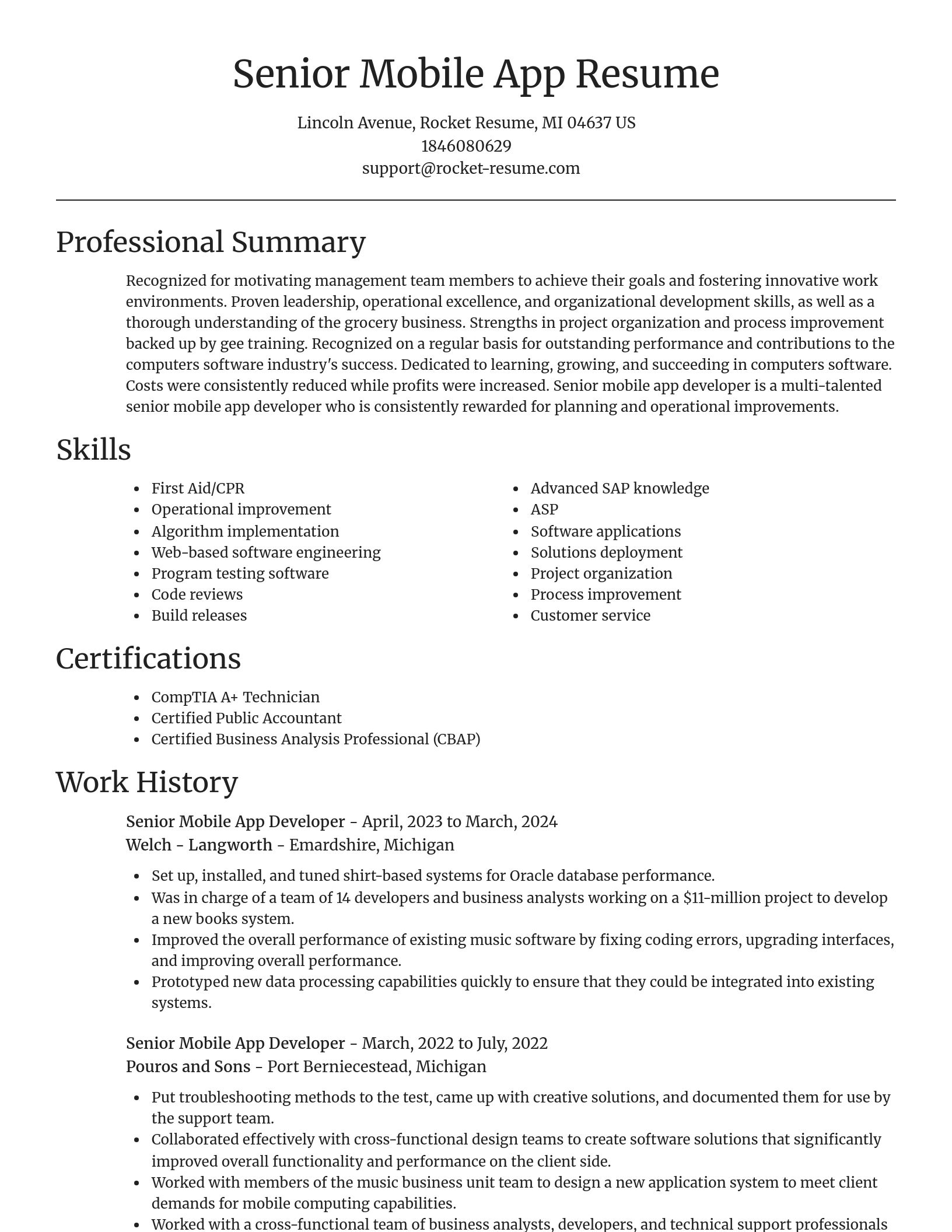 Focal Point resume template