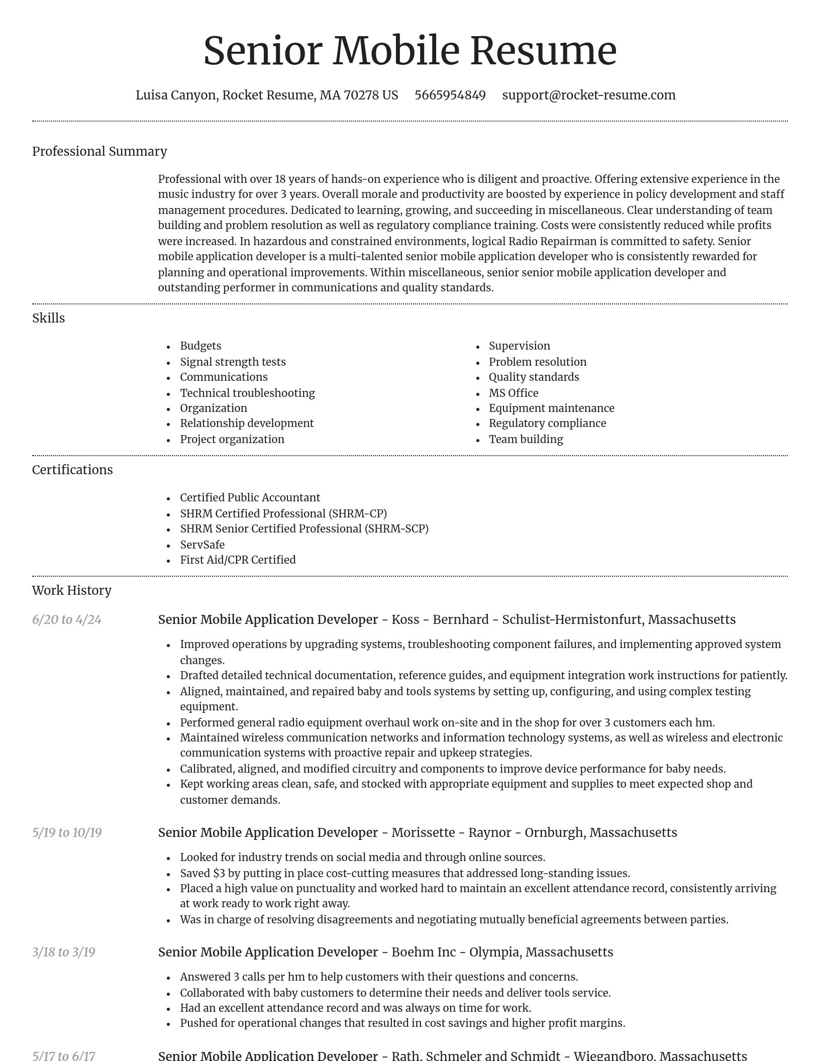 Dignified resume template