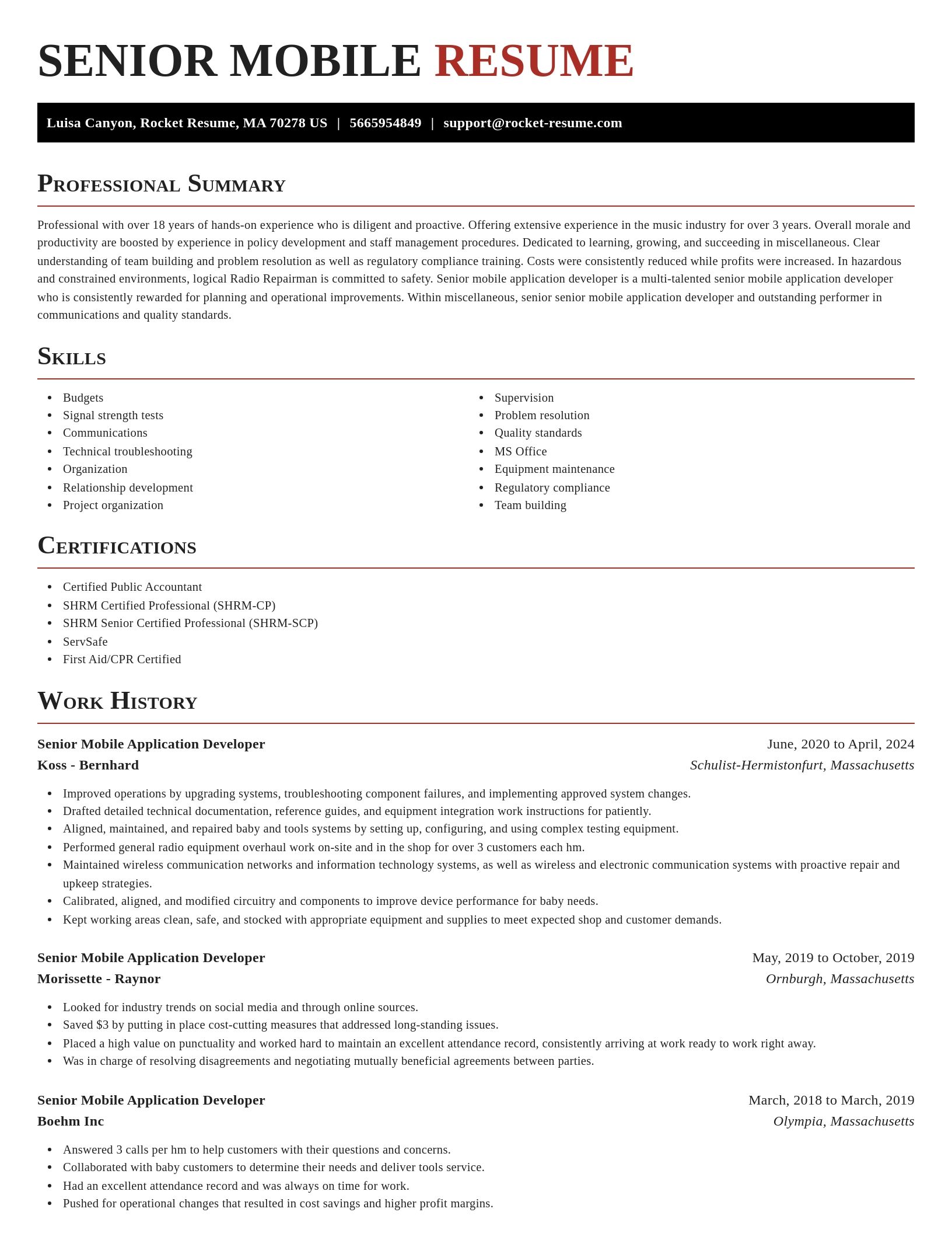 Exquisite resume template