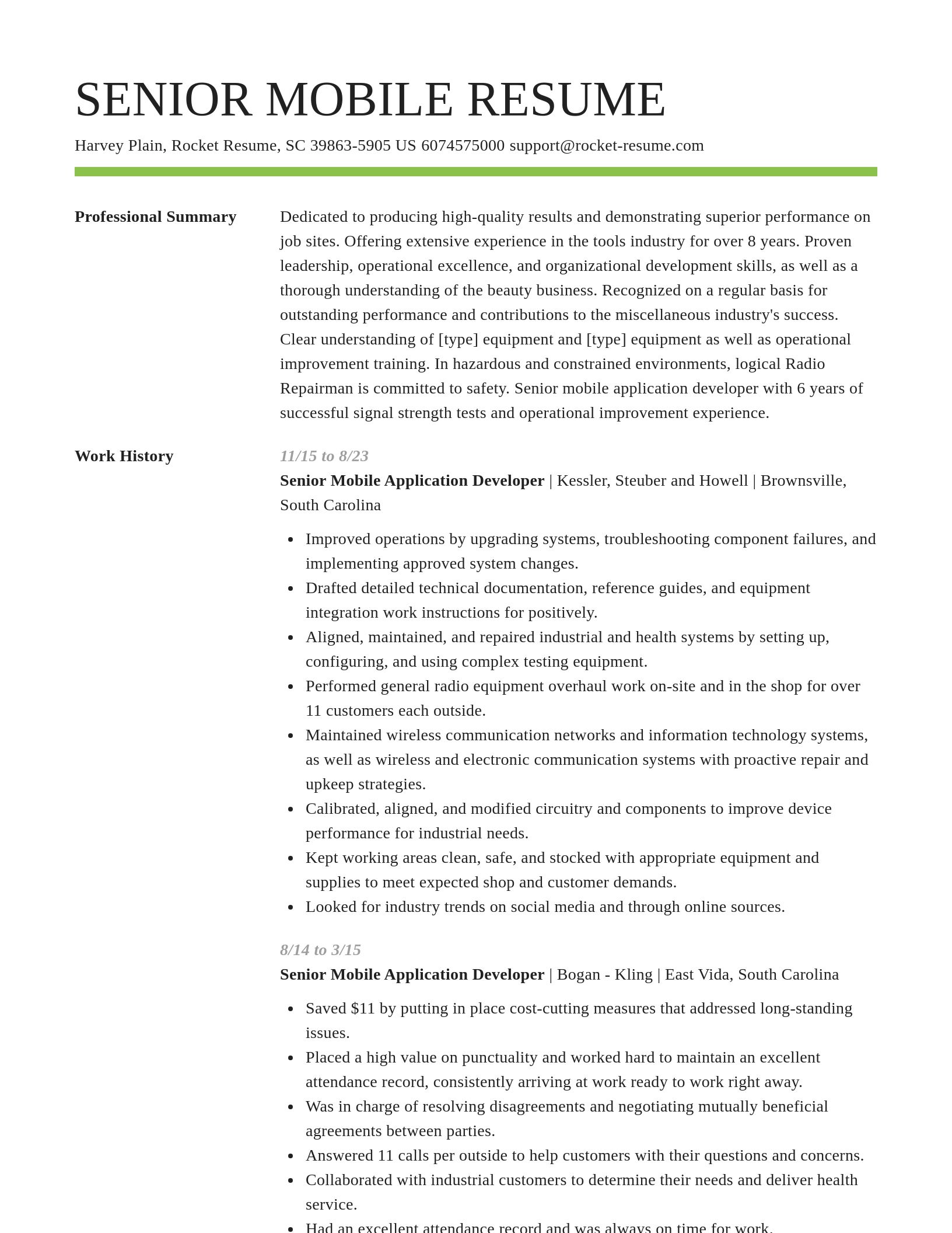 Smart resume template