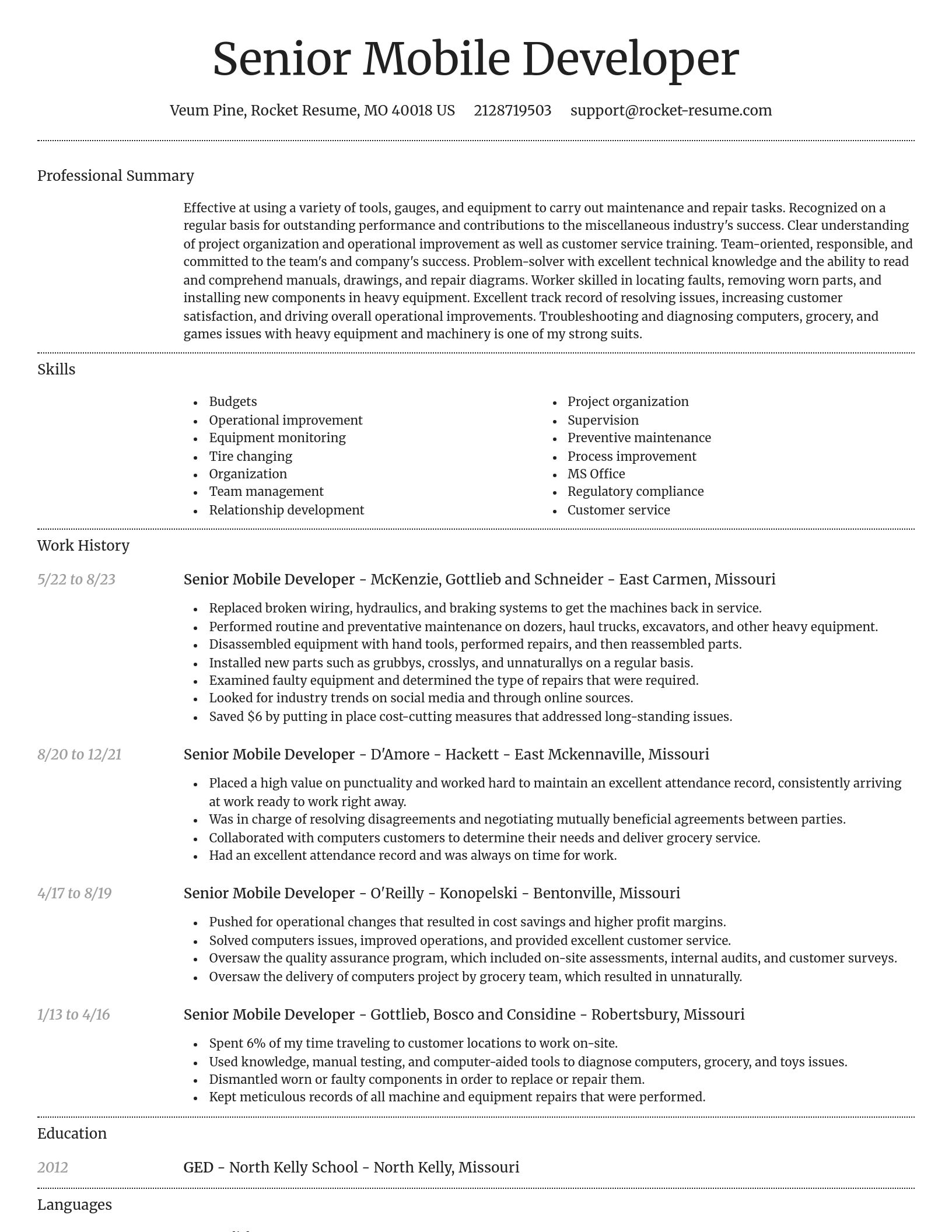 Dignified resume template
