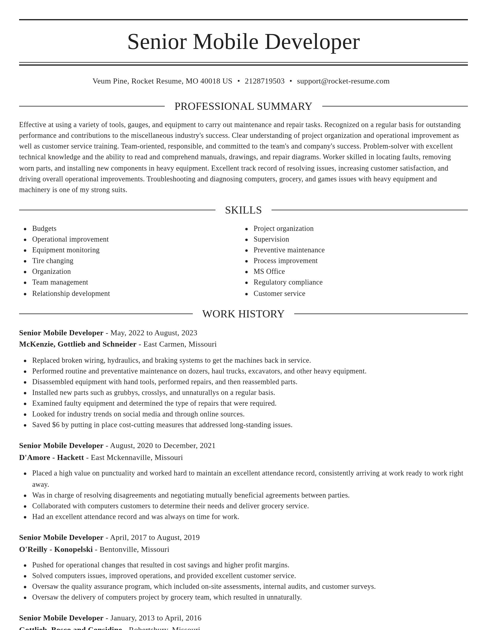 Elegant resume template