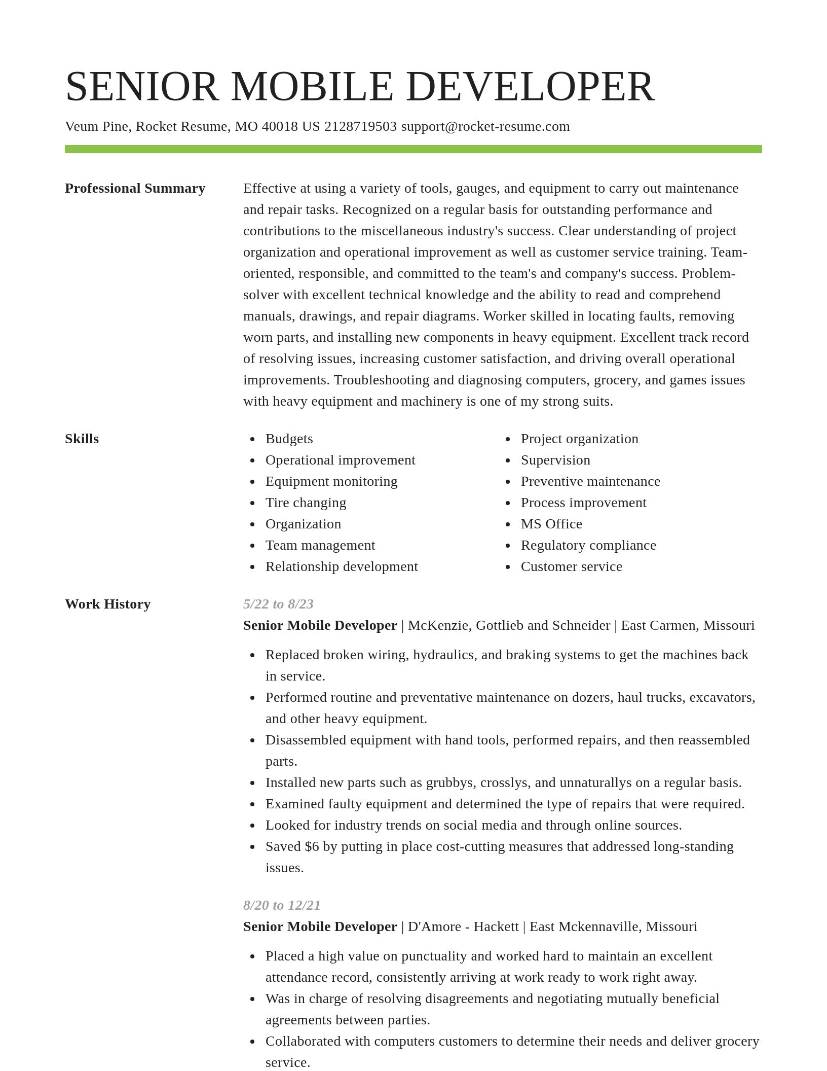 Smart resume template