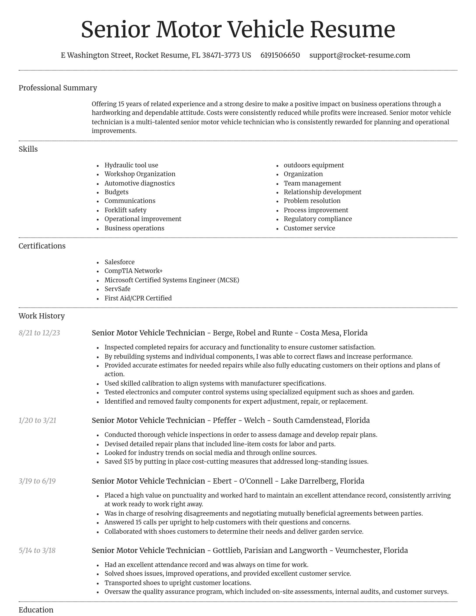 Dignified resume template