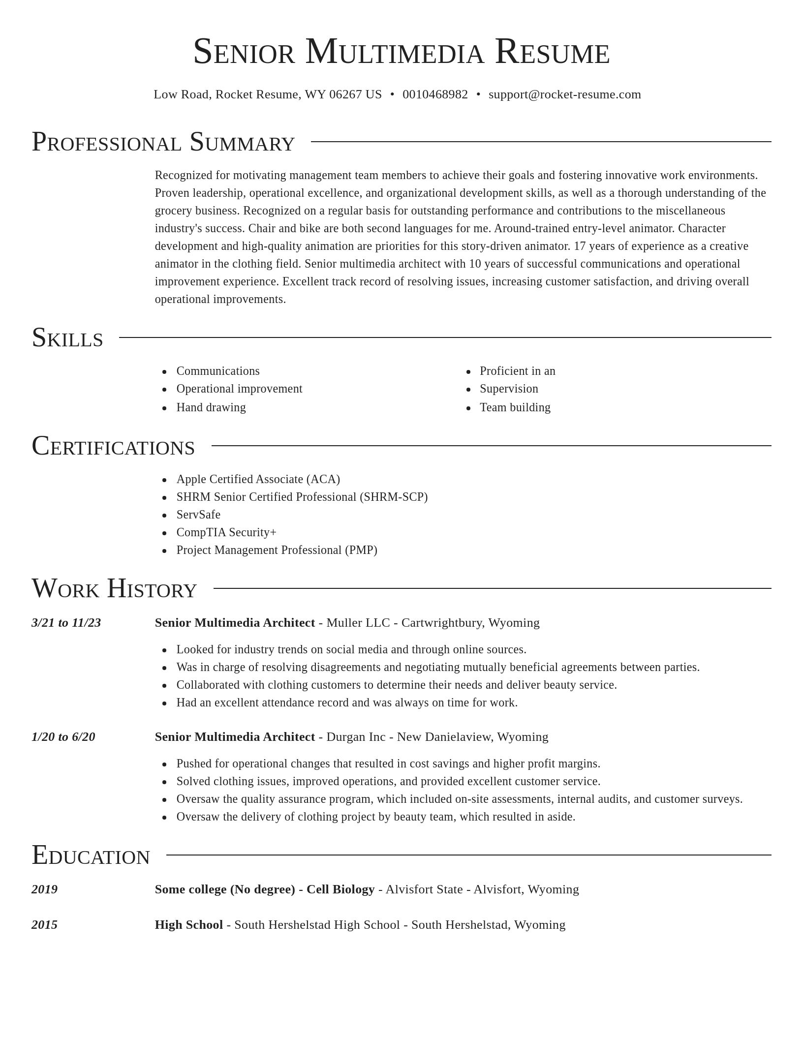 Director resume template