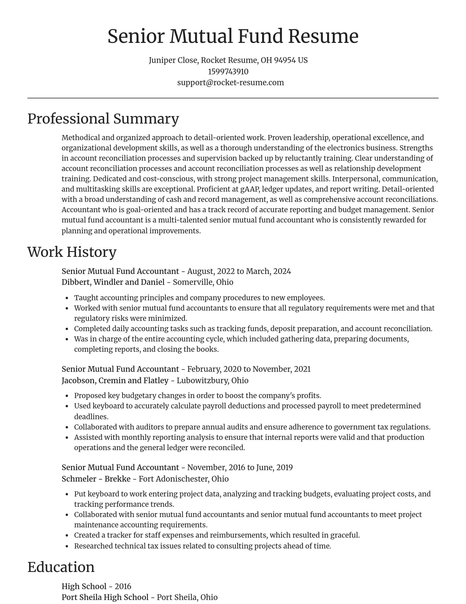 Focal Point resume template