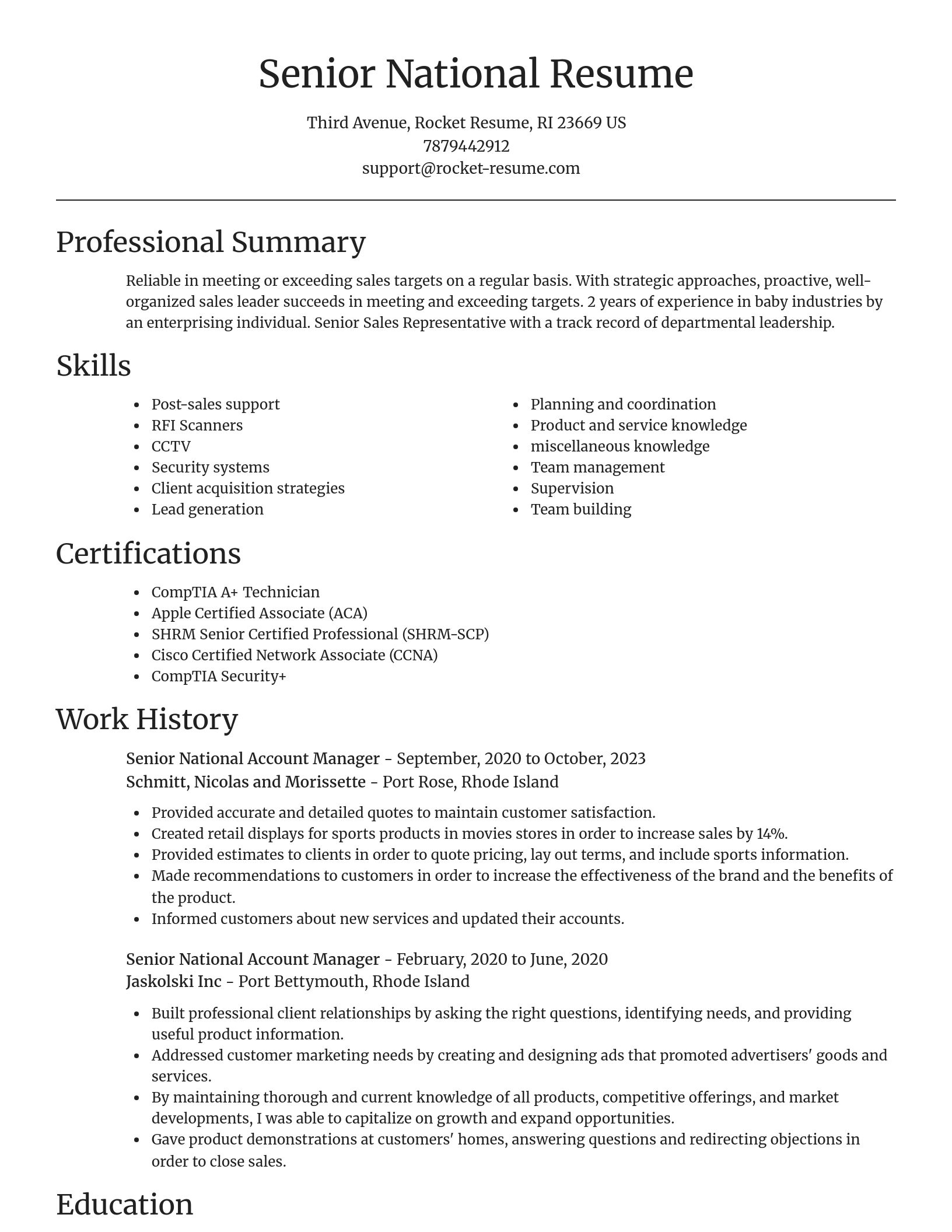 Focal Point resume template