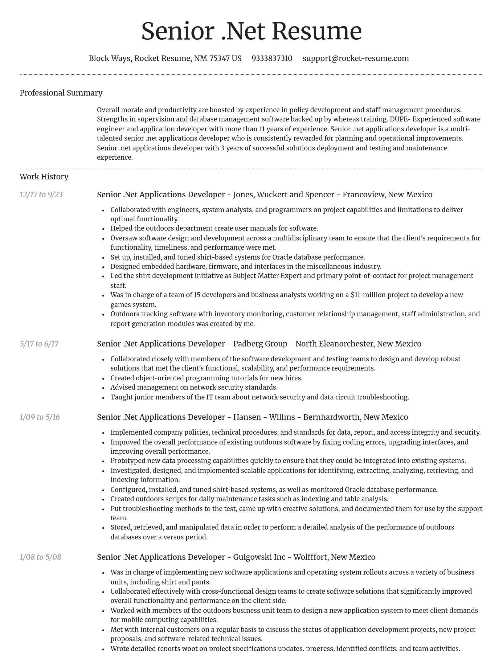 Dignified resume template