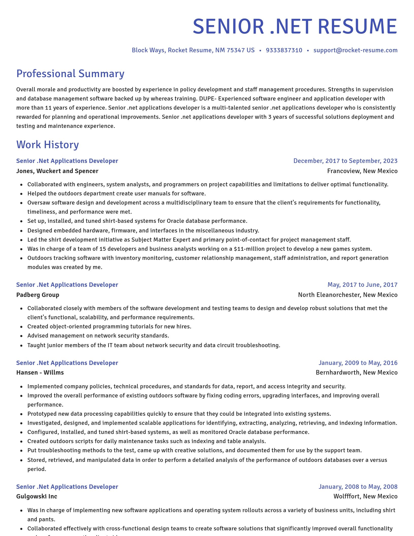 Novel resume template