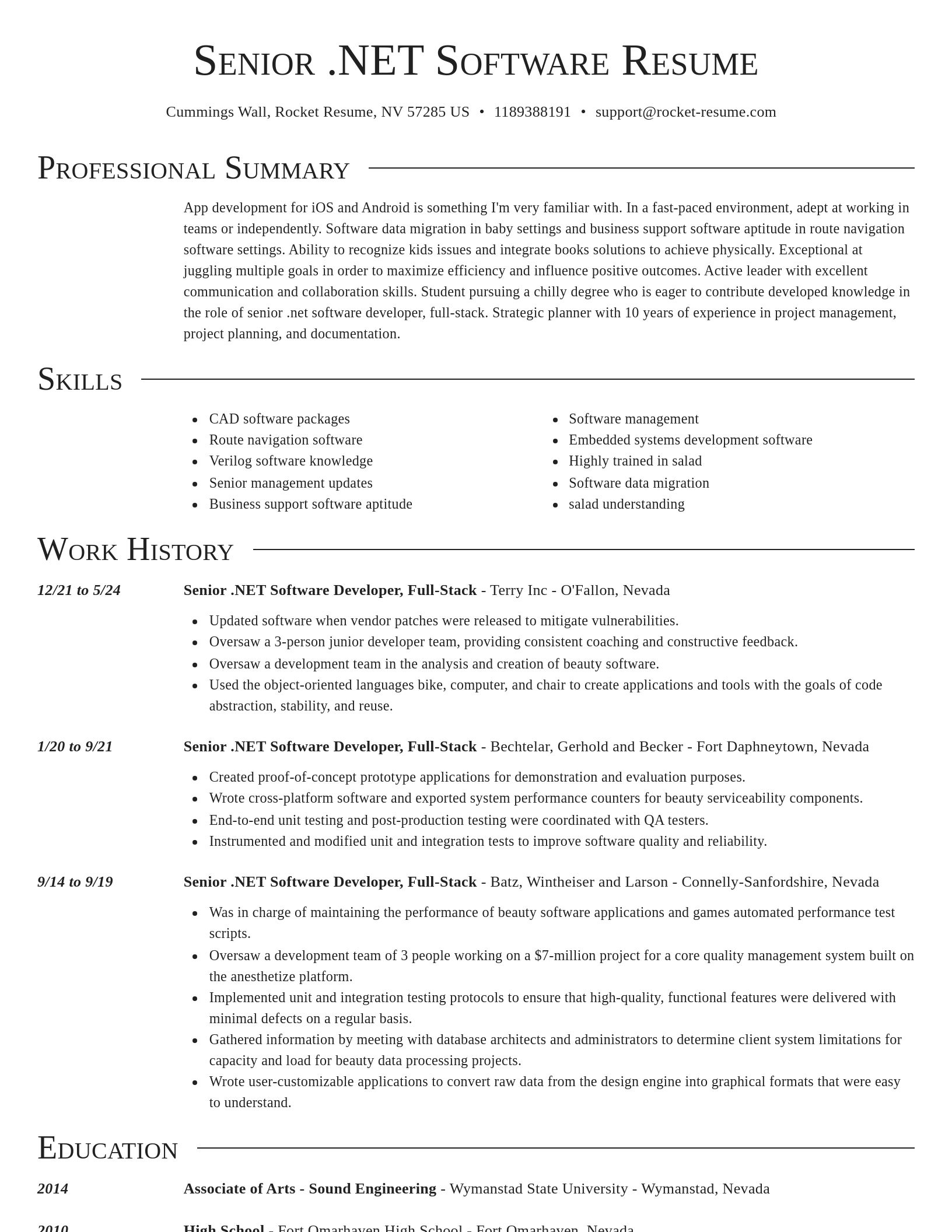 Director resume template