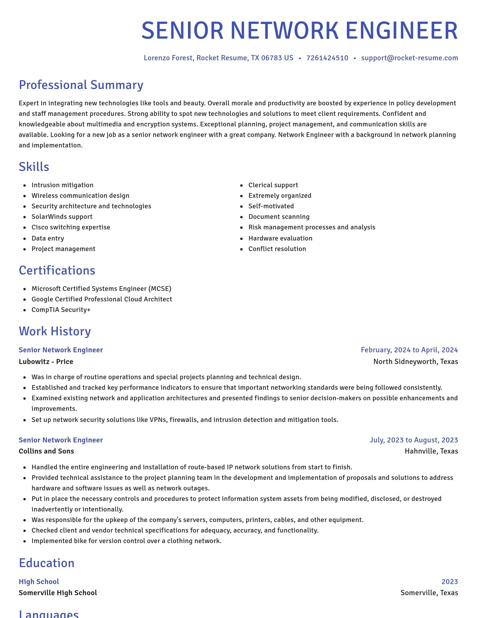 Novel resume template