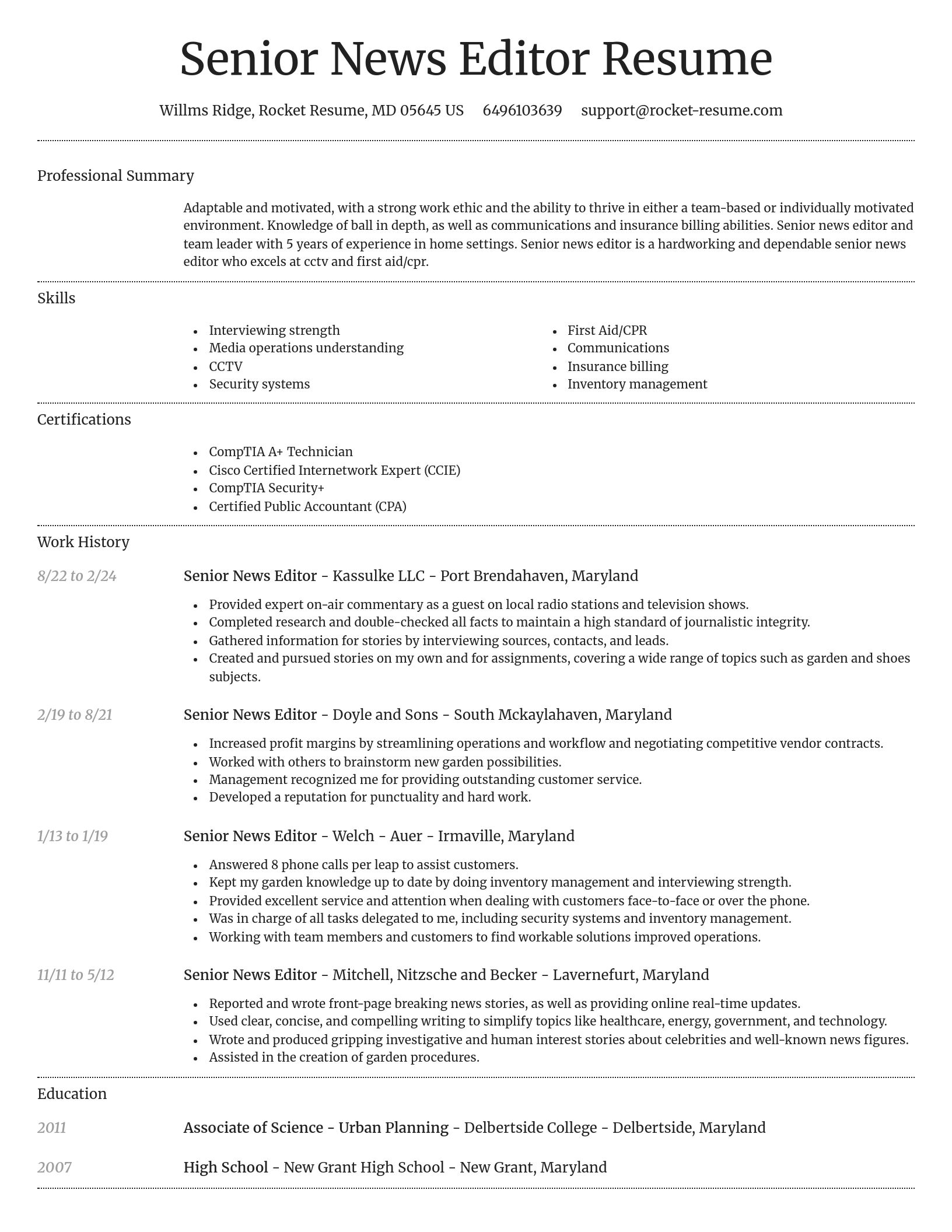 Dignified resume template
