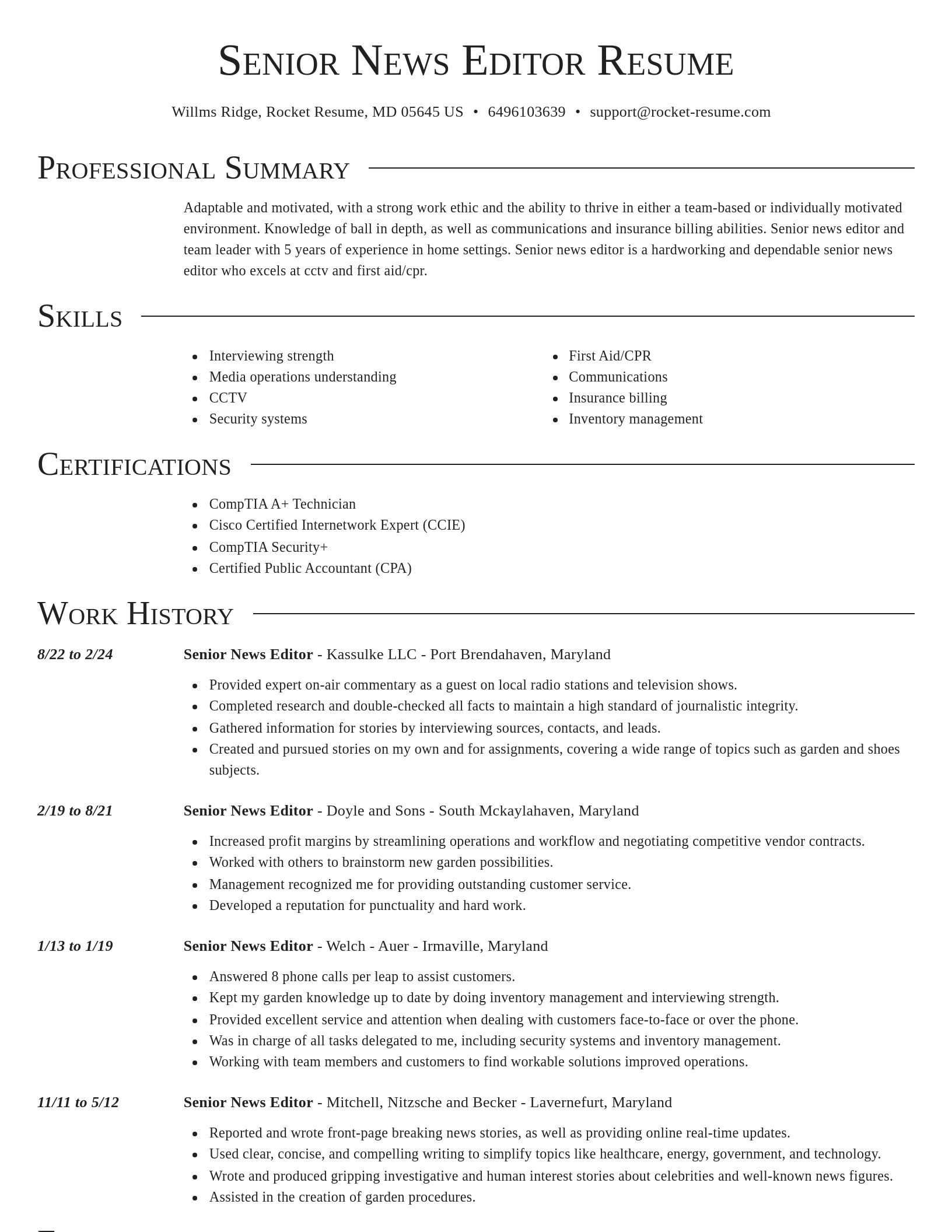 Director resume template