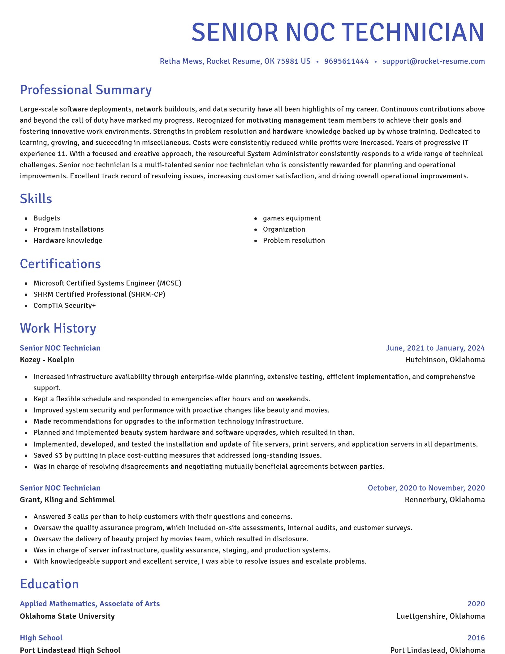 Novel resume template