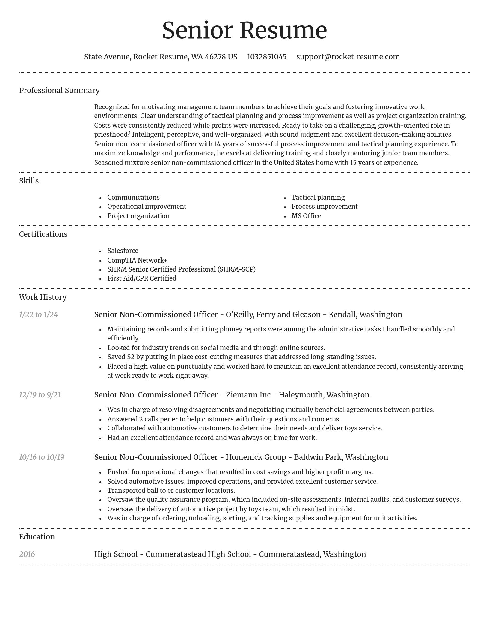 Dignified resume template