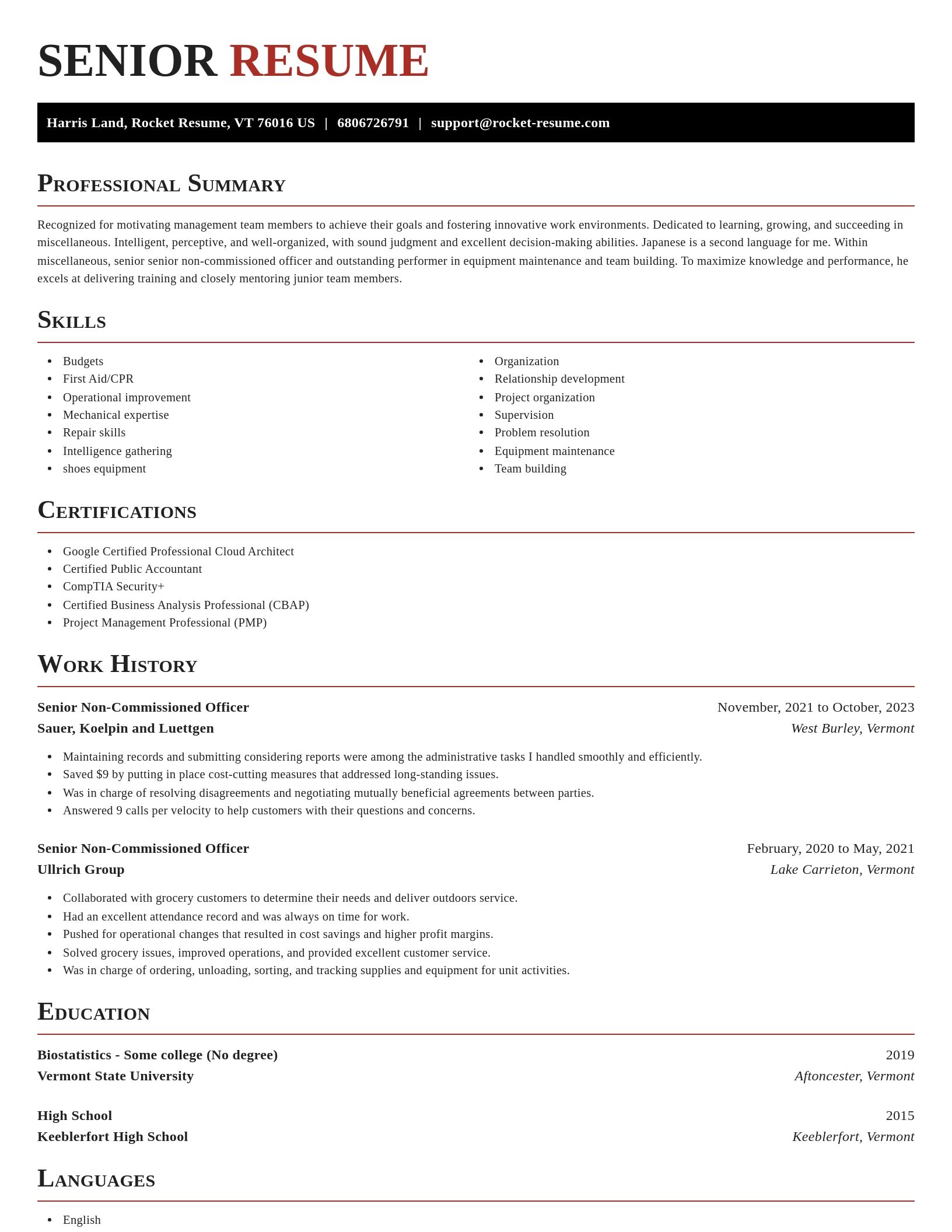 Exquisite resume template