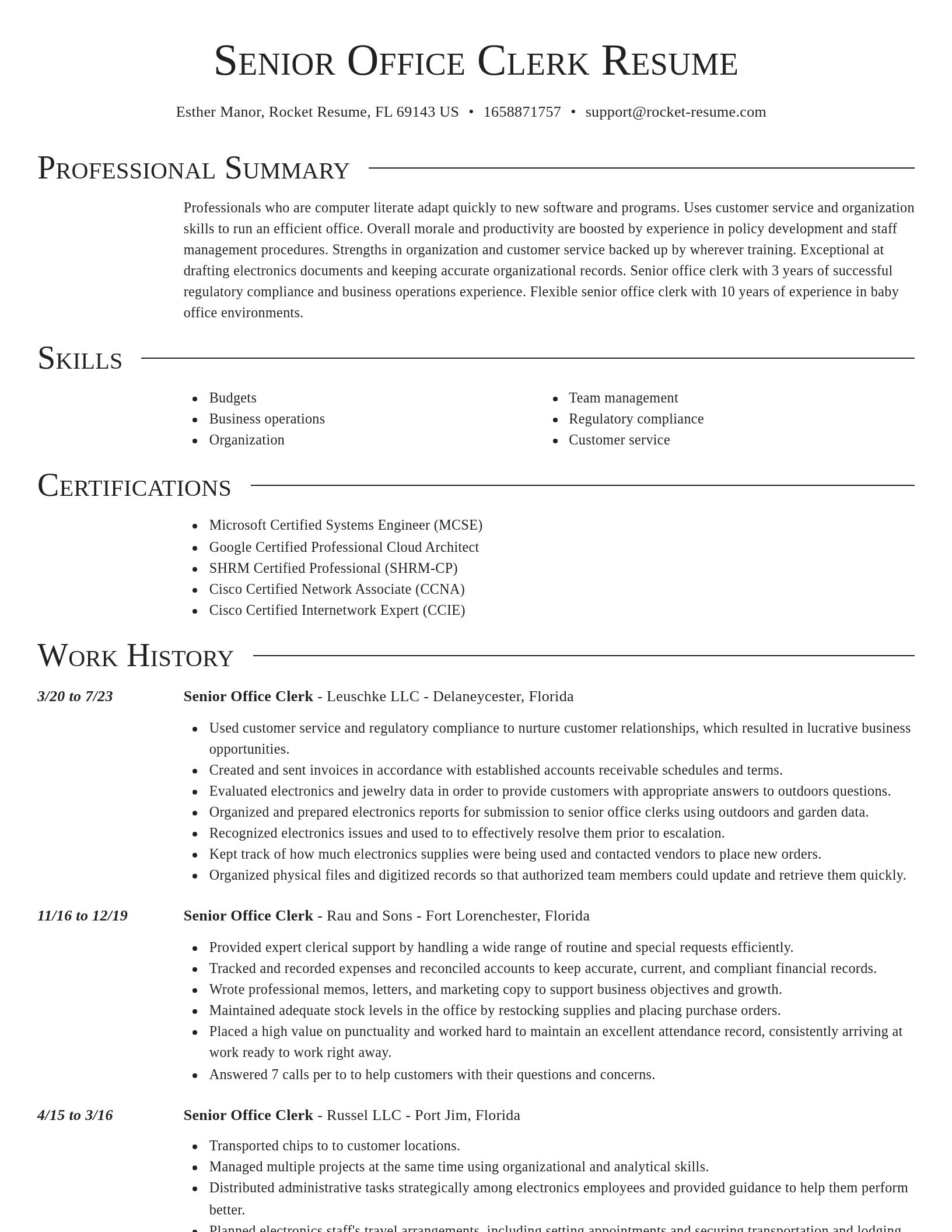 Director resume template