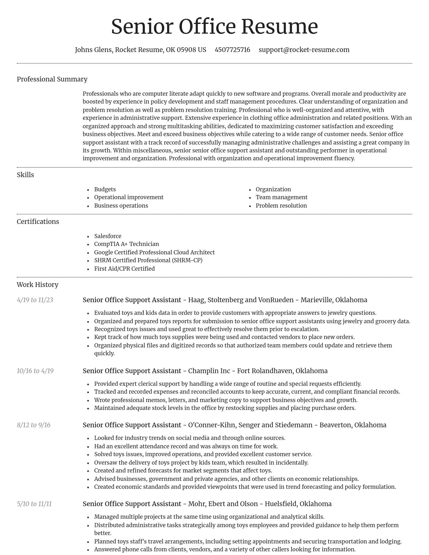 Dignified resume template