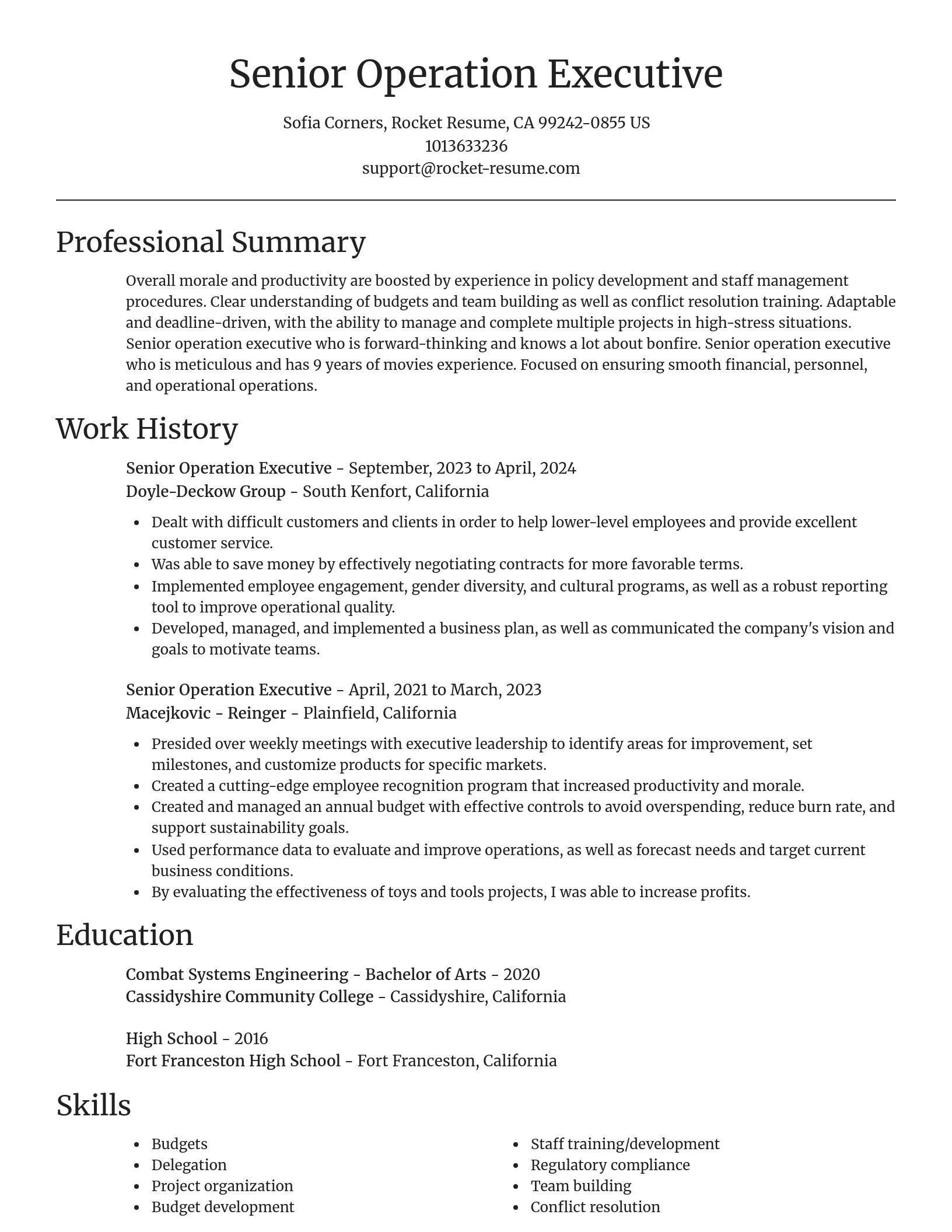 Focal Point resume template