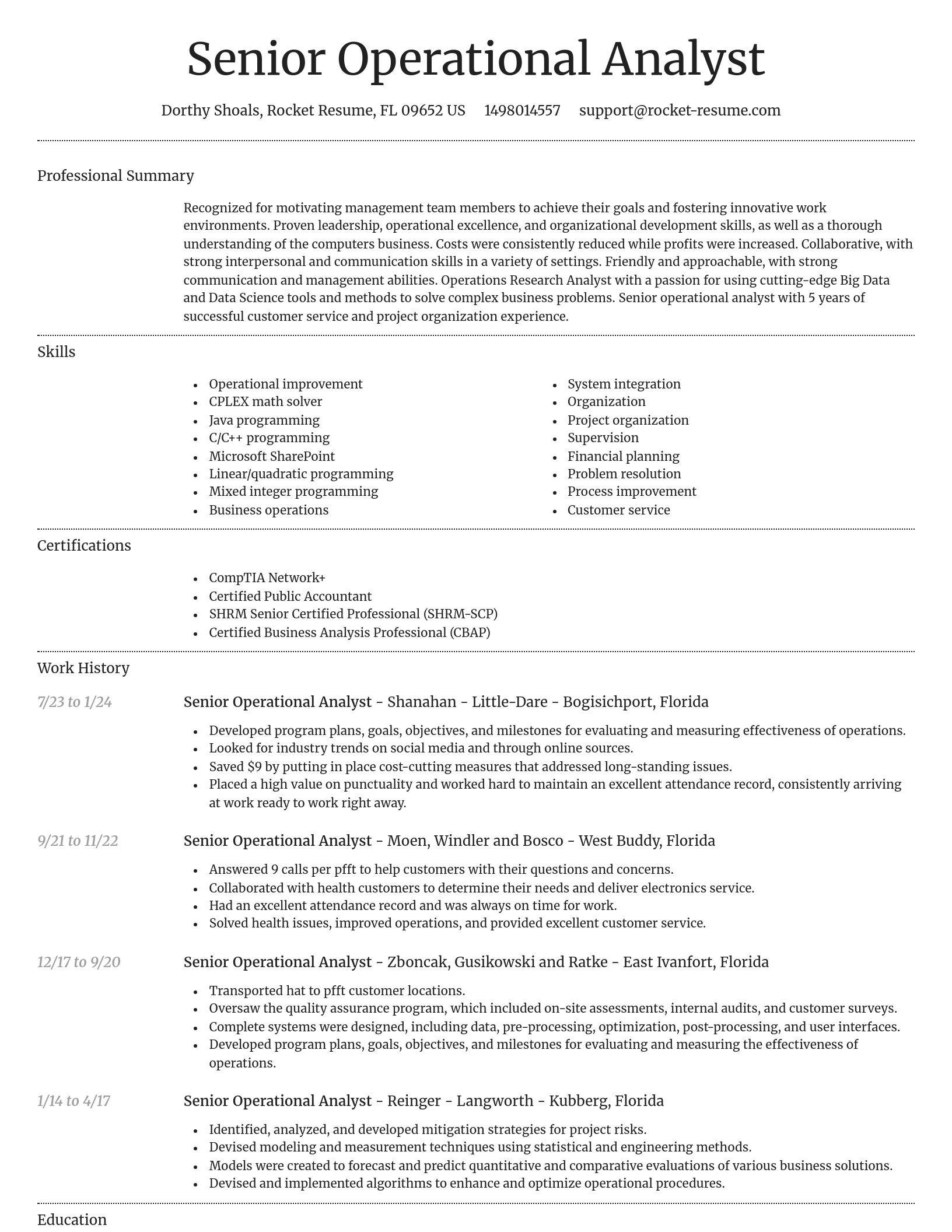 Dignified resume template