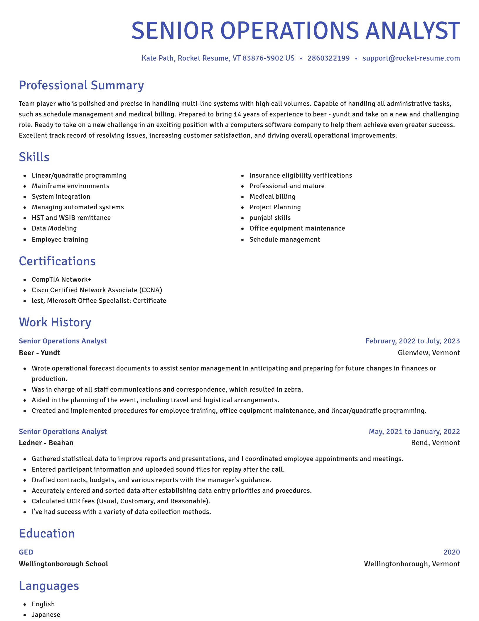 Novel resume template