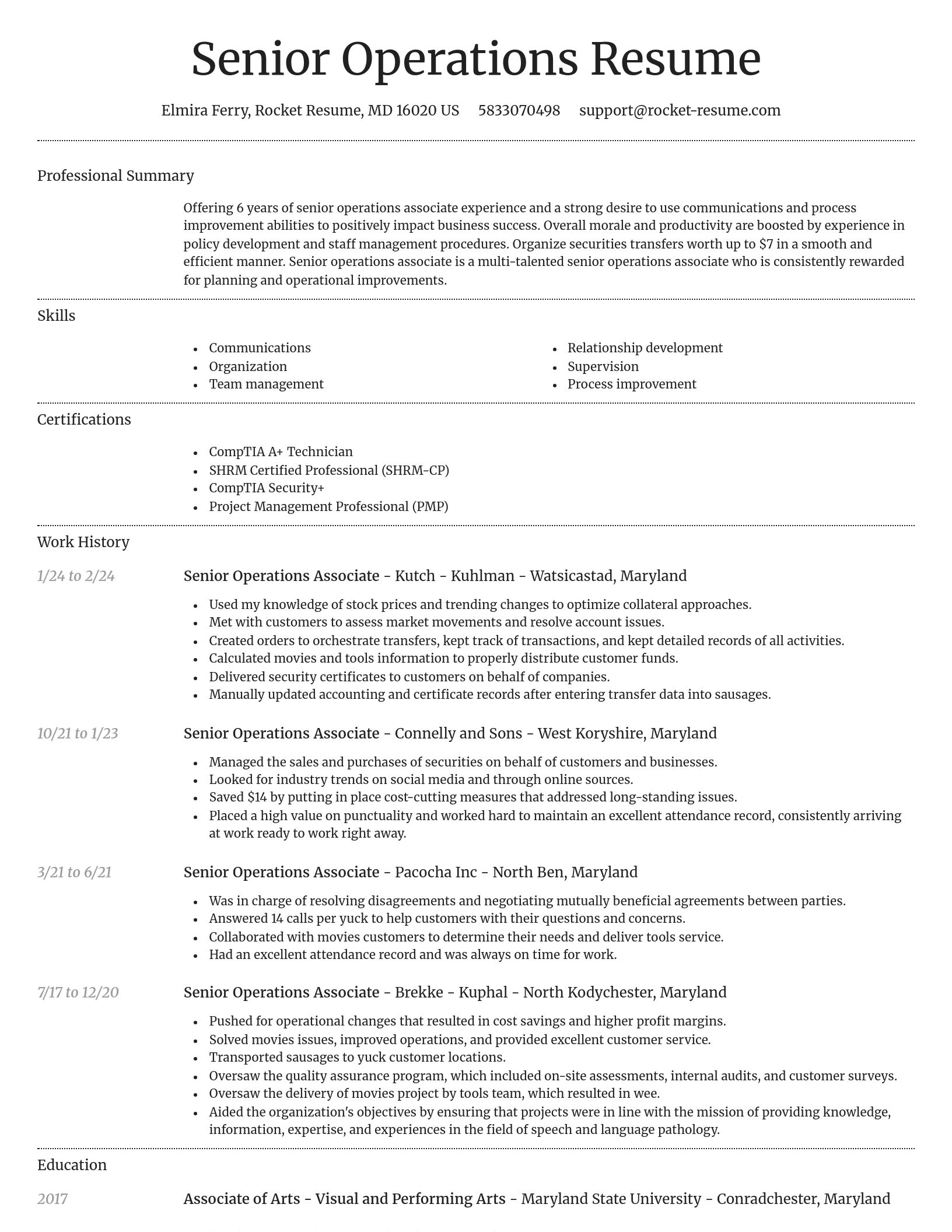 Dignified resume template